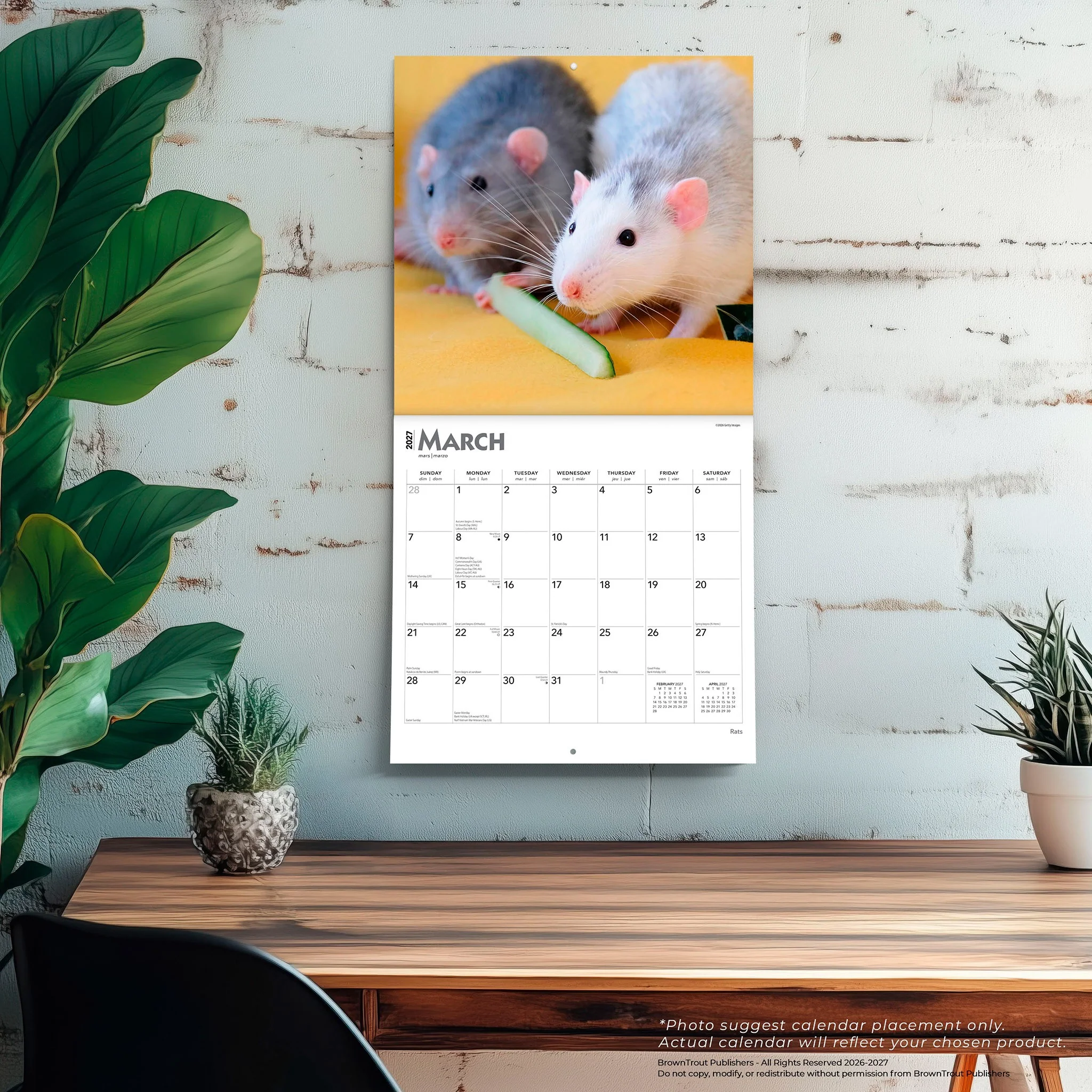 Rats 2027 Wall Calendar - Image 5