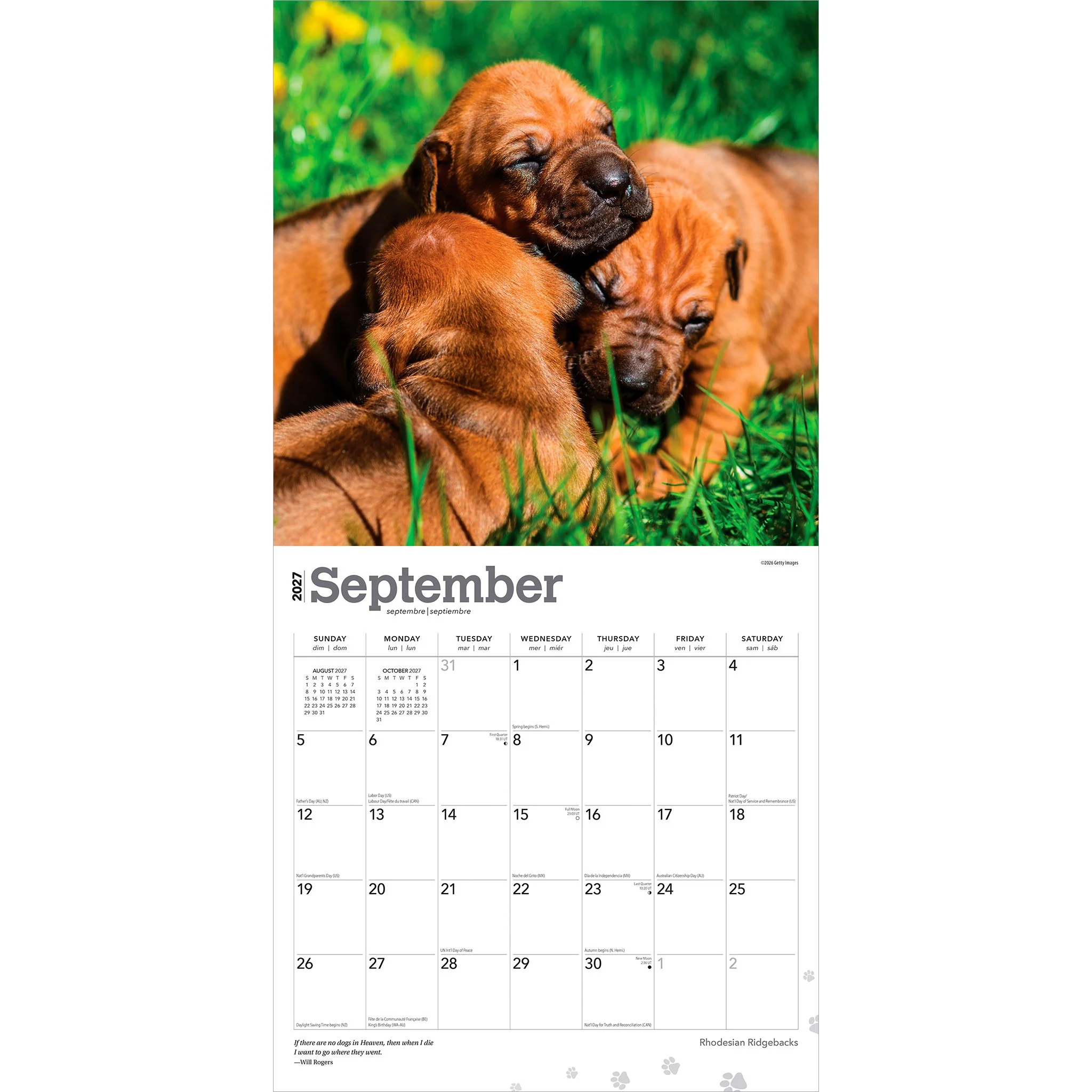 Rhodesian Ridgebacks 2027 Wall Calendar - Image 4