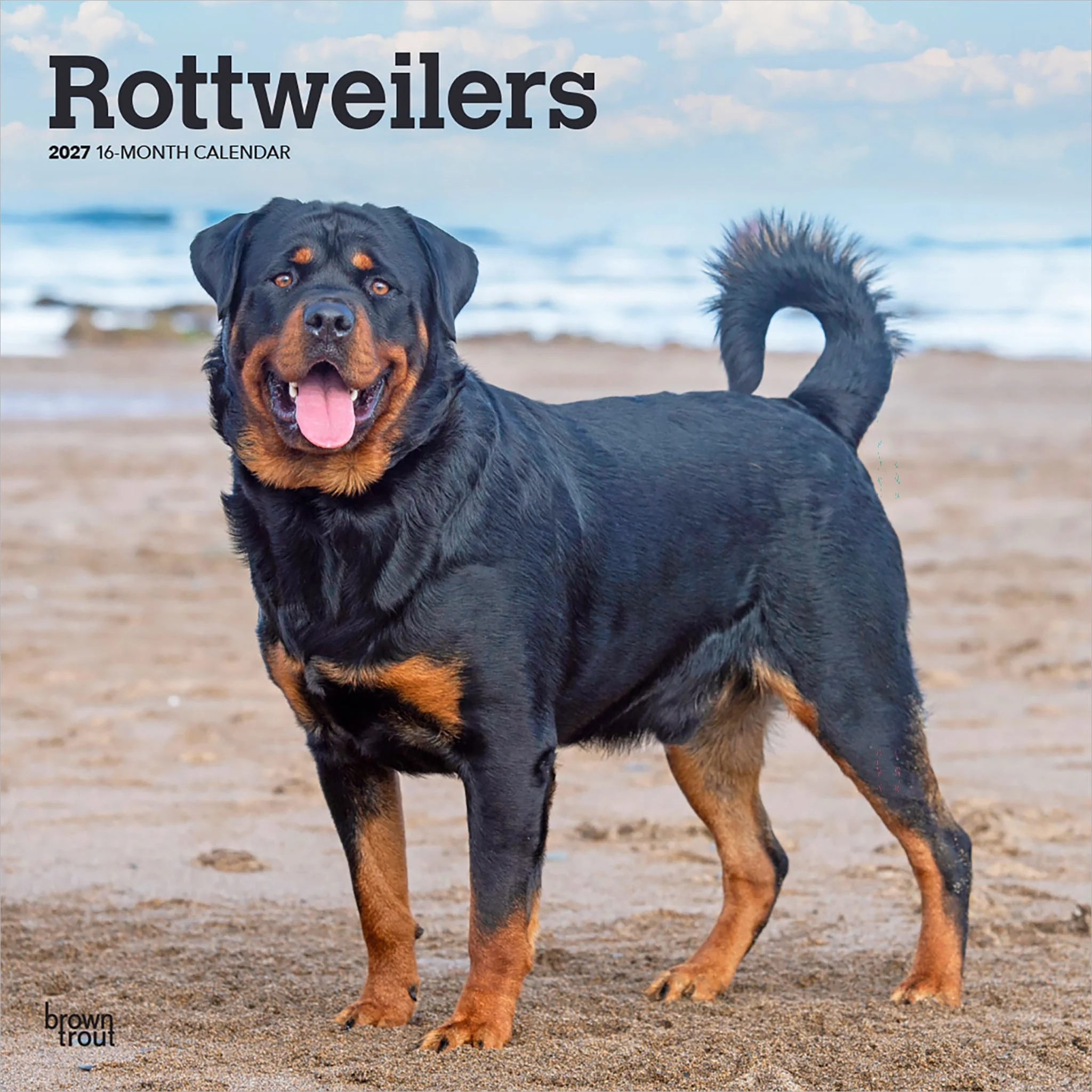 Rottweilers 2027 Wall Calendar