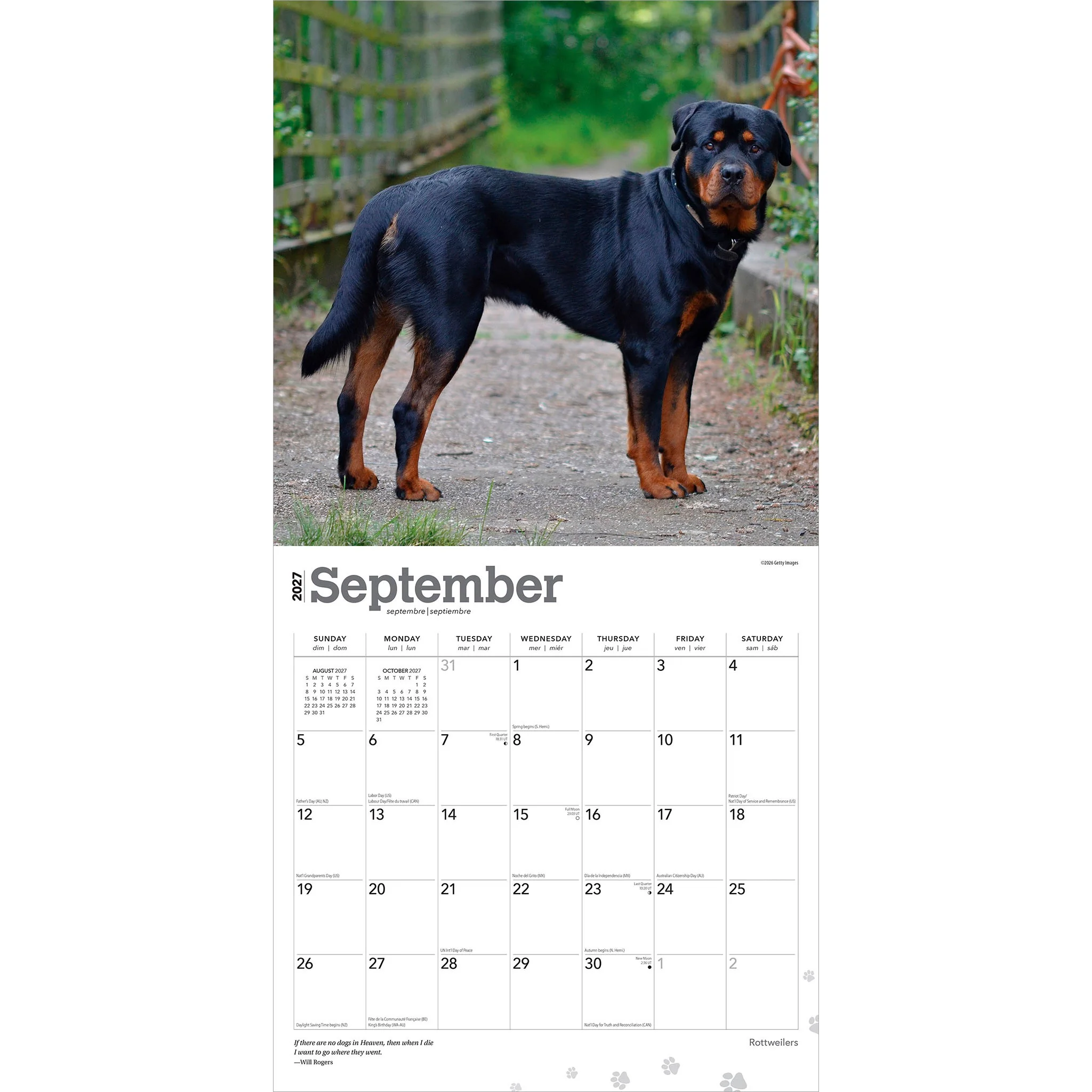 Rottweilers 2027 Wall Calendar - Image 4