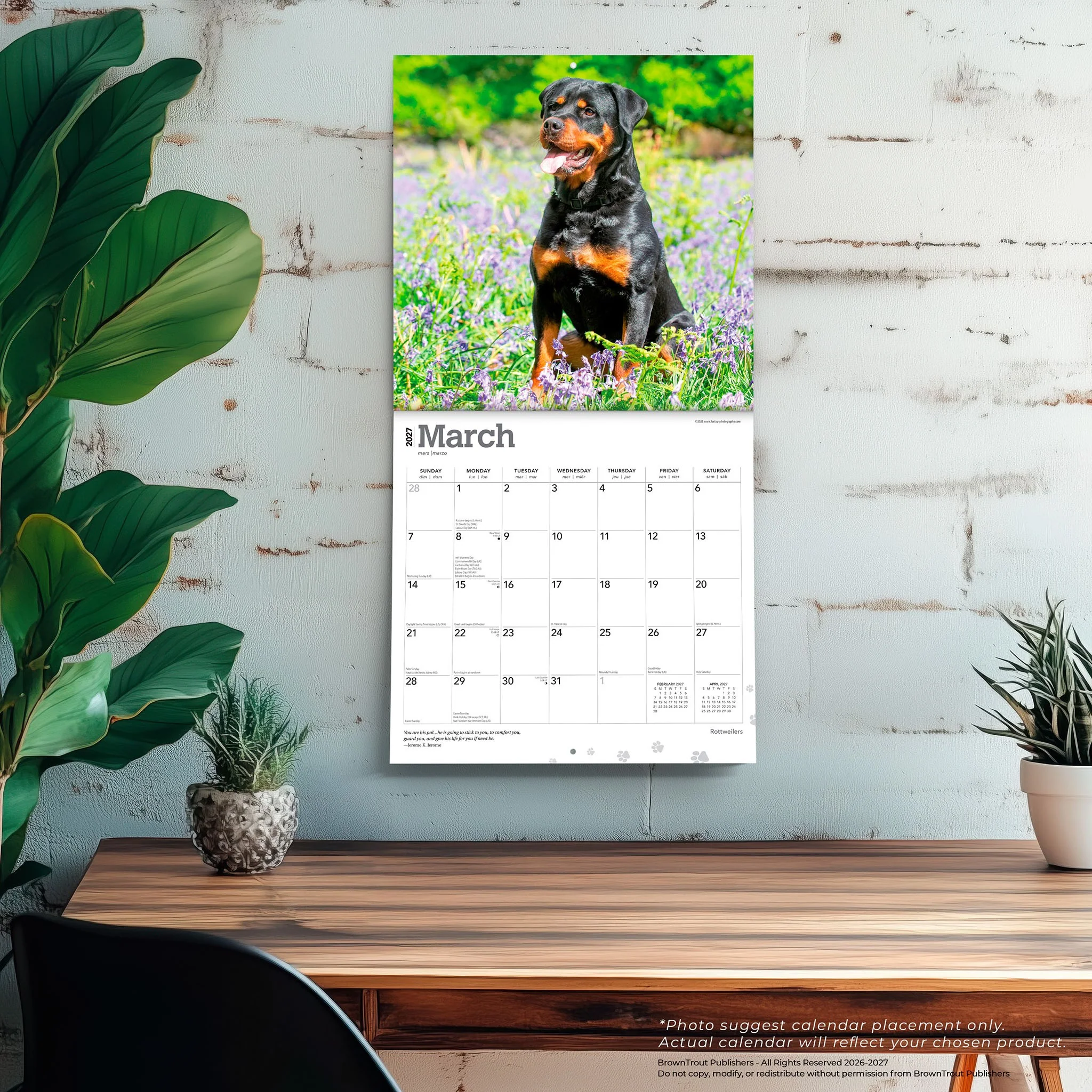 Rottweilers 2027 Wall Calendar - Image 5