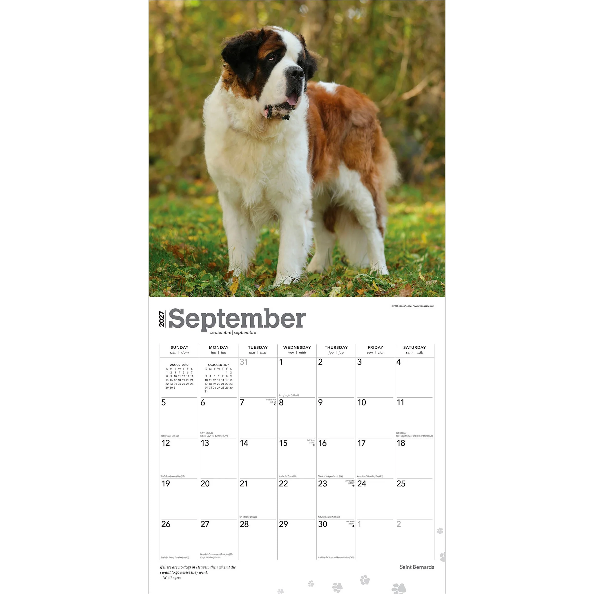 Saint Bernards 2027 Wall Calendar - Image 4