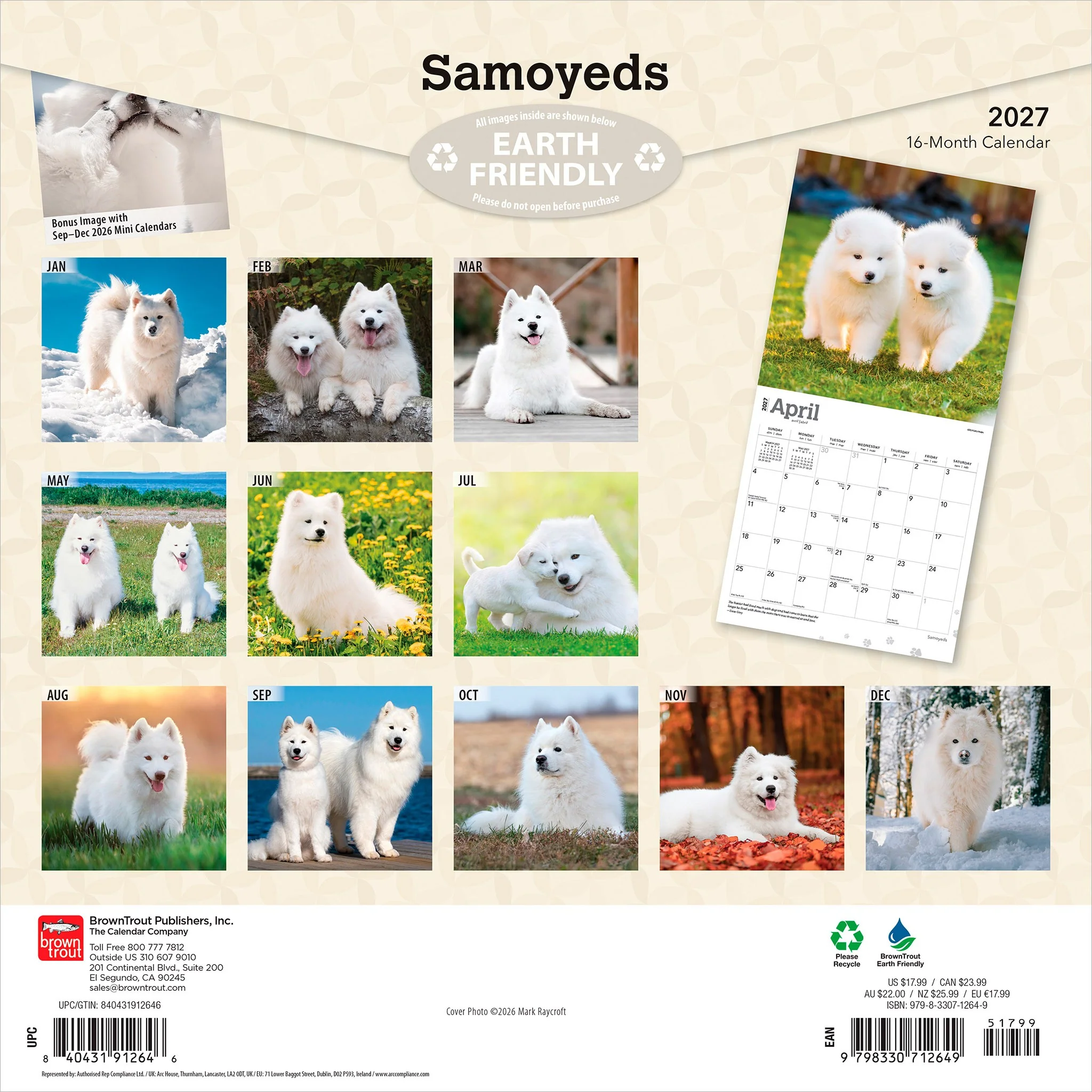 Samoyeds 2027 Wall Calendar - Image 2