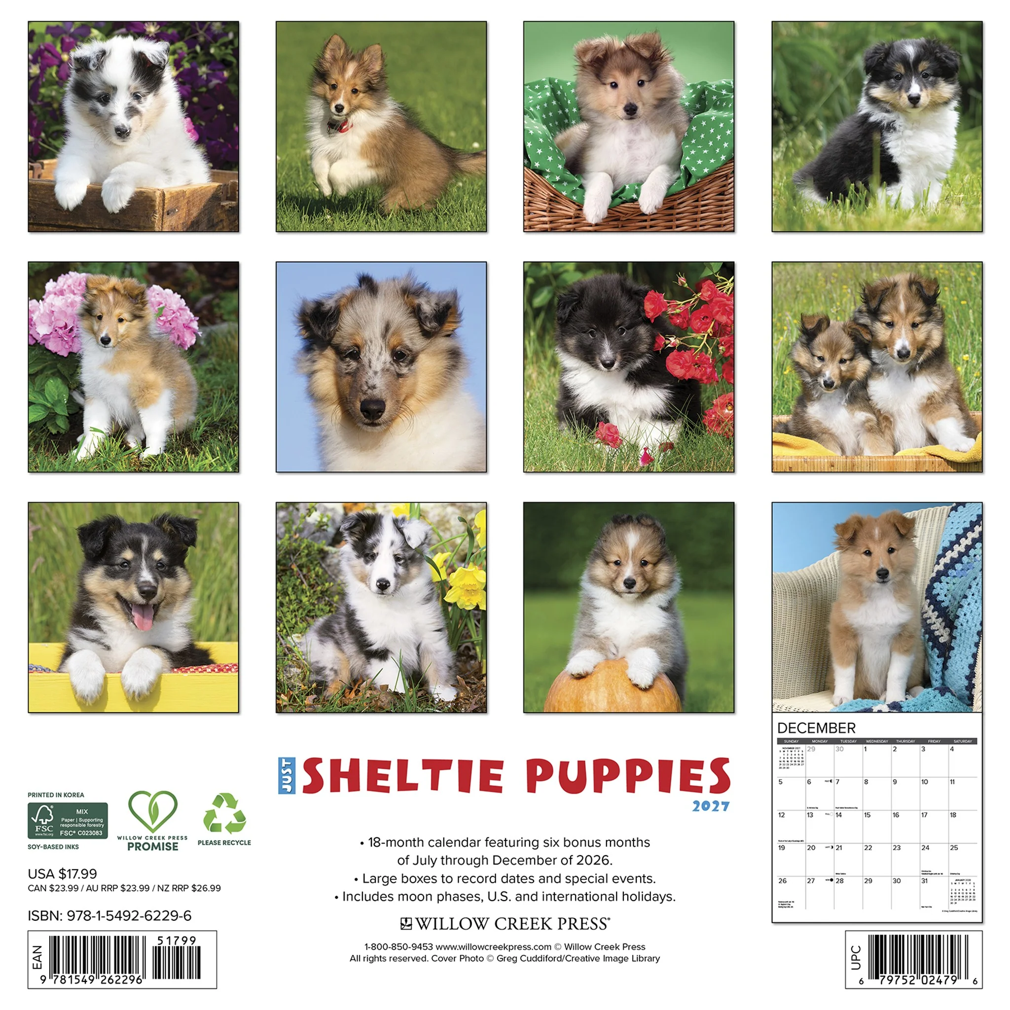 Sheltie Puppies 2027 Wall Calendar - Online Only - Image 2