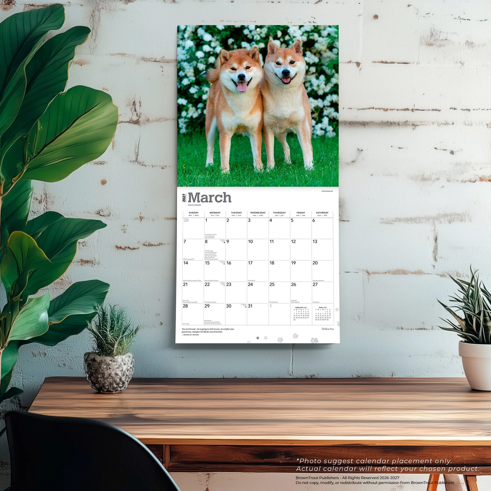 Shiba Inu 2027 Wall Calendar - Online Only - Image 5
