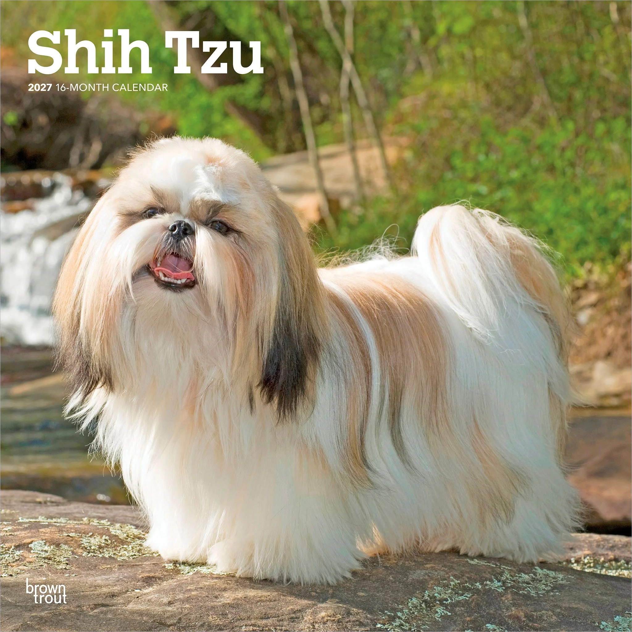 Shih Tzu 2027 Wall Calendar