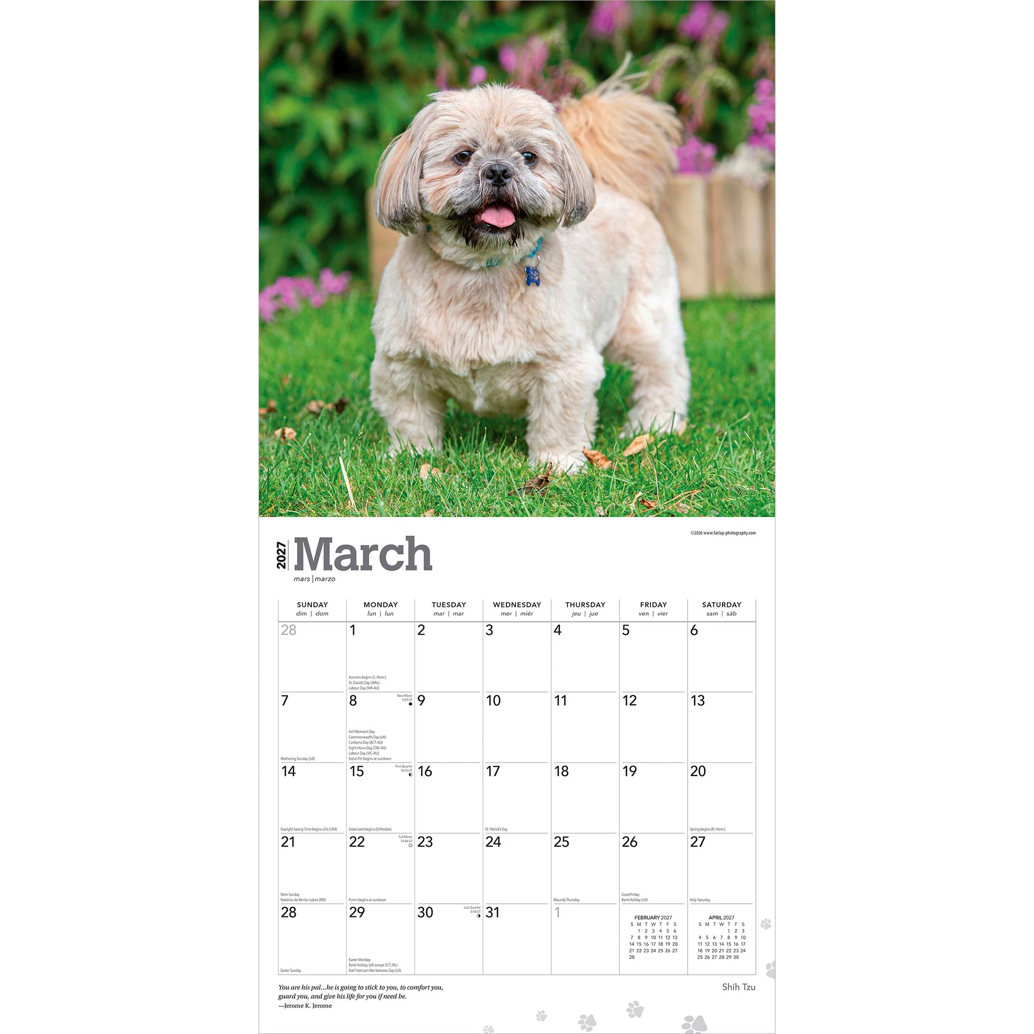 Shih Tzu 2027 Wall Calendar - Image 3