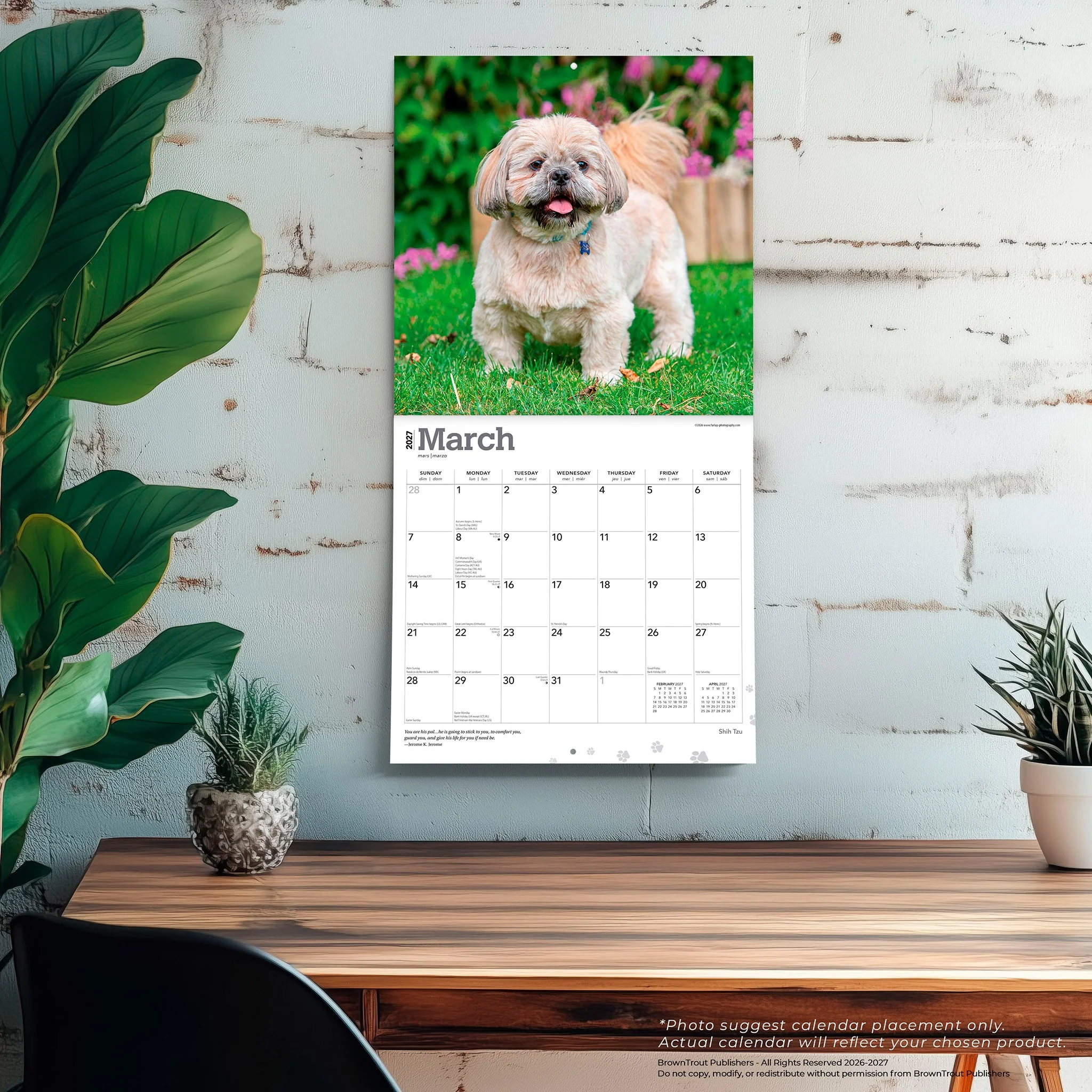 Shih Tzu 2027 Wall Calendar - Image 5