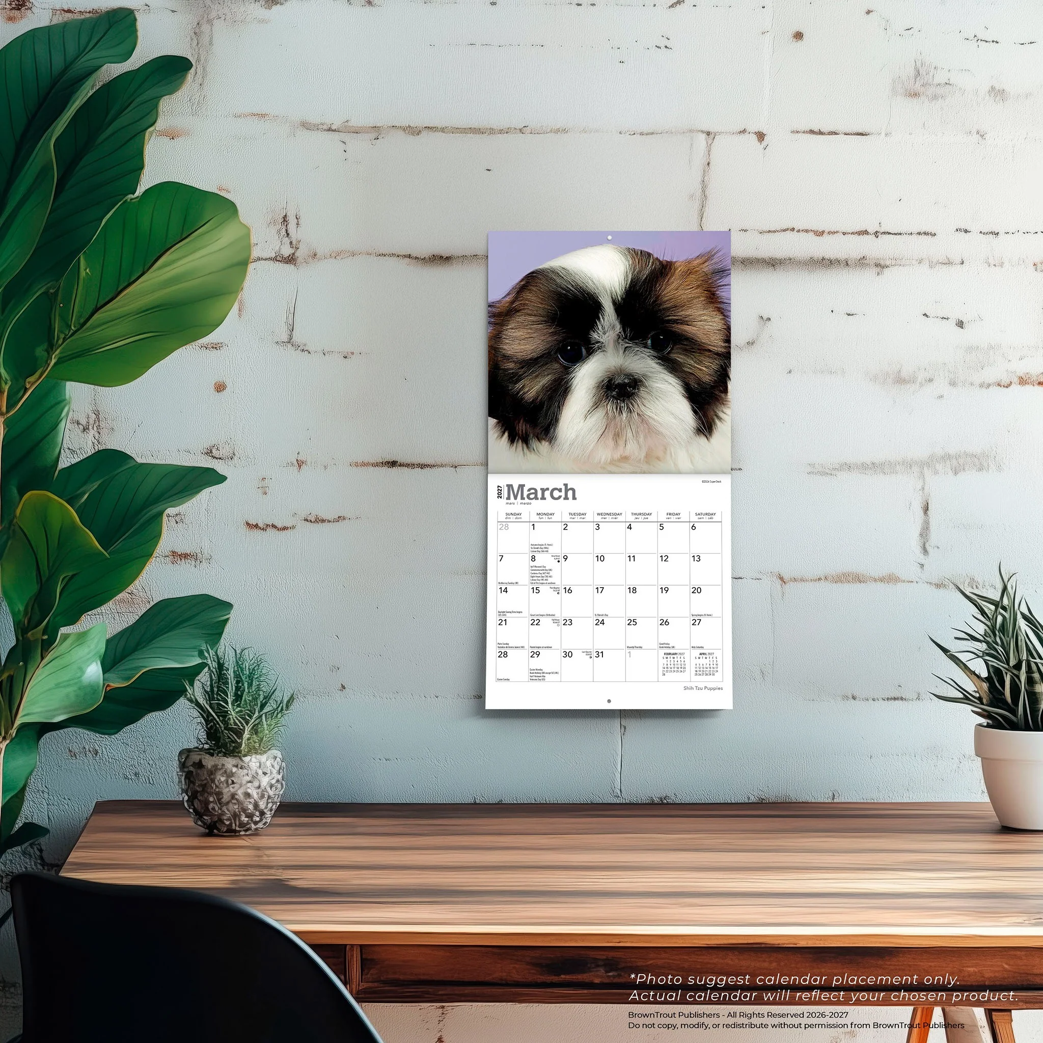 Shih Tzu Puppies 2027 Mini Calendar - Image 5