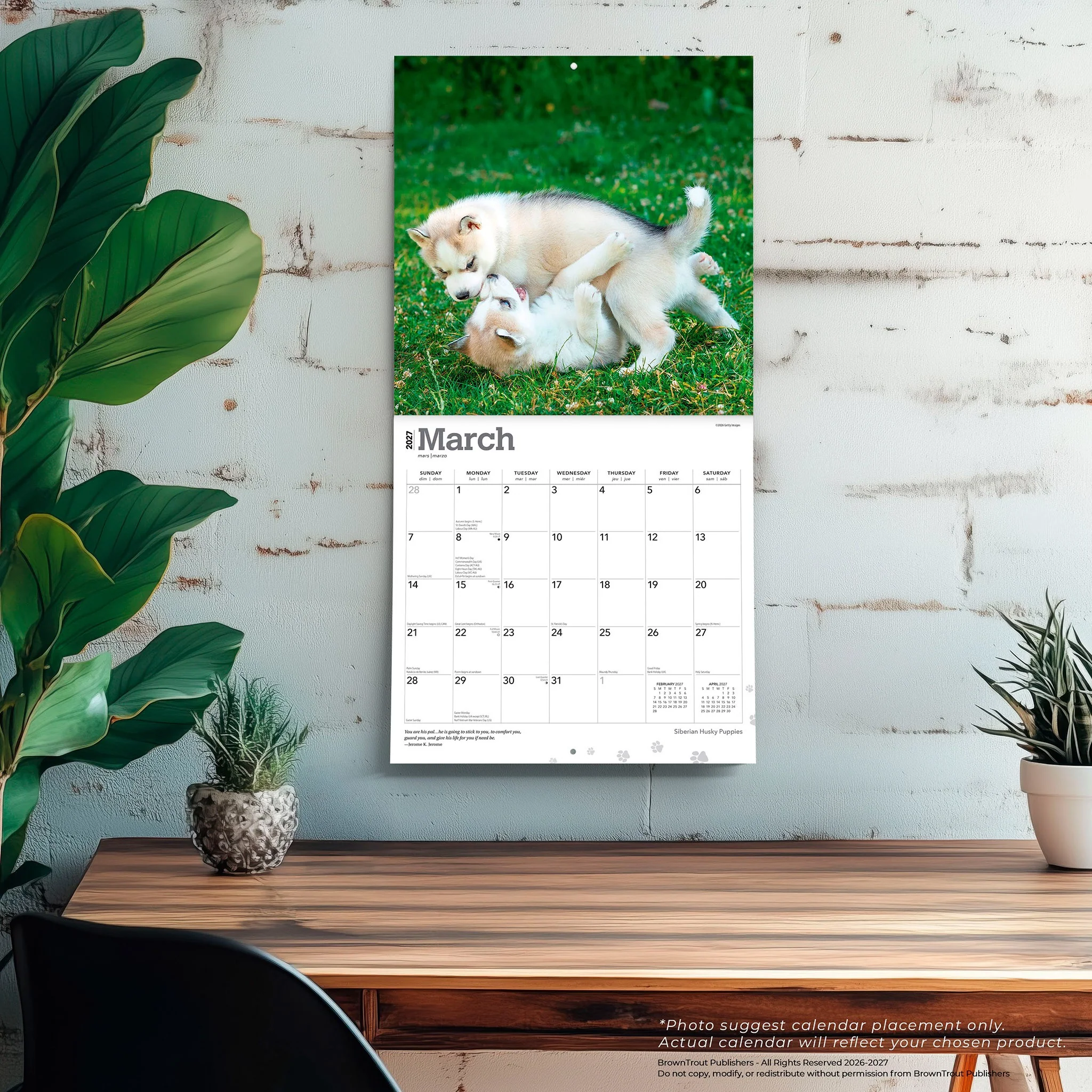 Siberian Husky Puppies 2027 Wall Calendar - Image 10