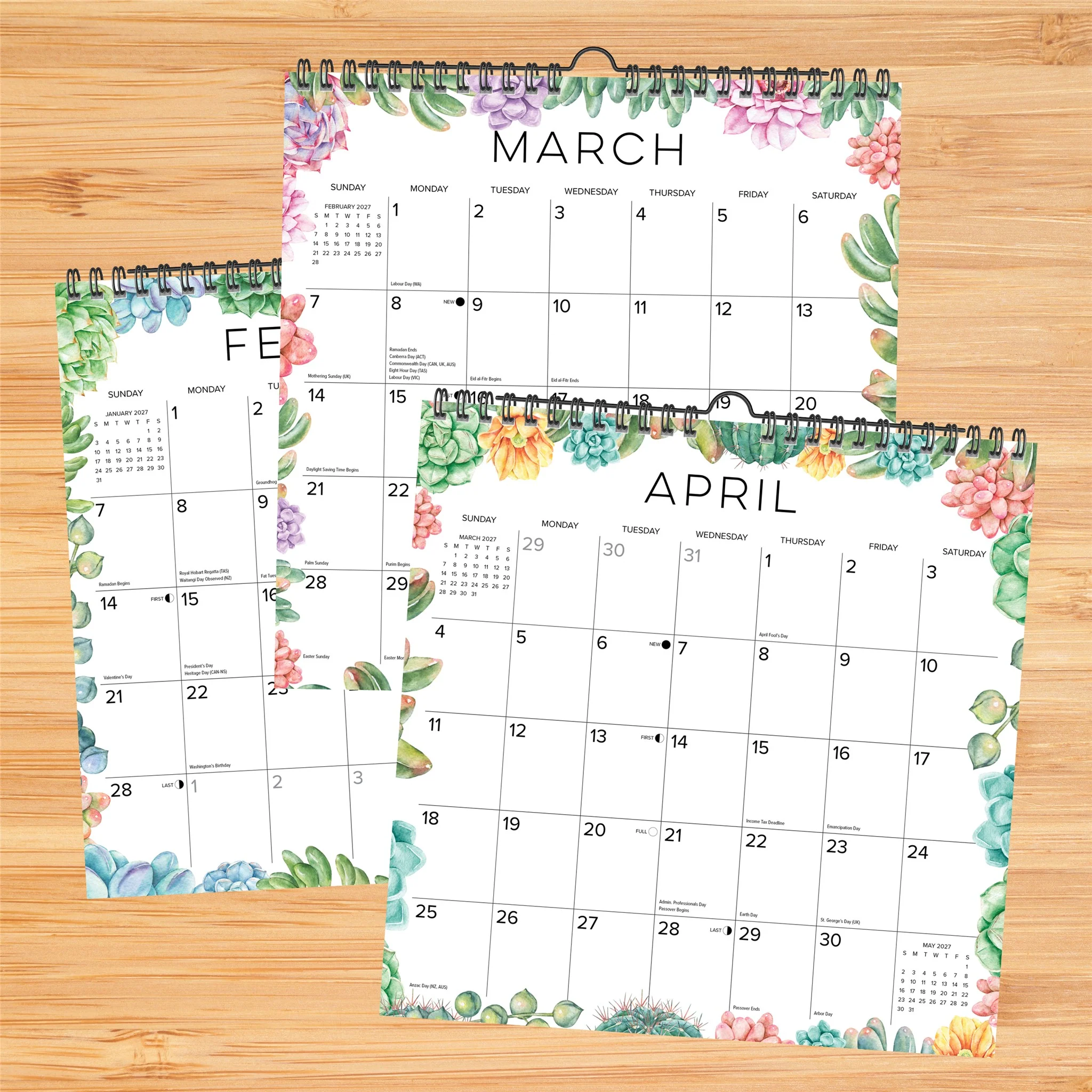 Succulents 2027 Spiral Wall Calendar - Image 3