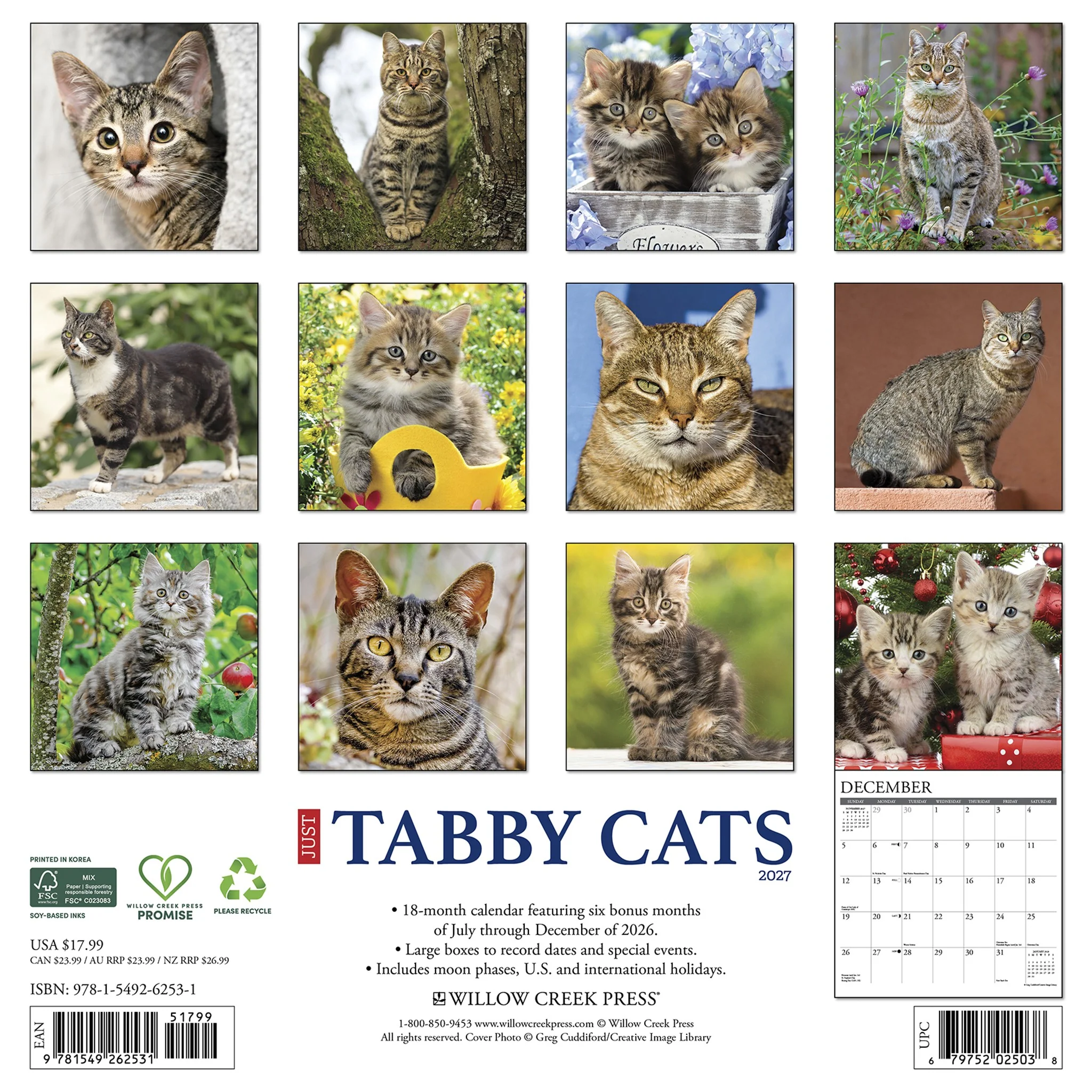 Tabby Cats 2027 Wall Calendar - Online Only - Image 2