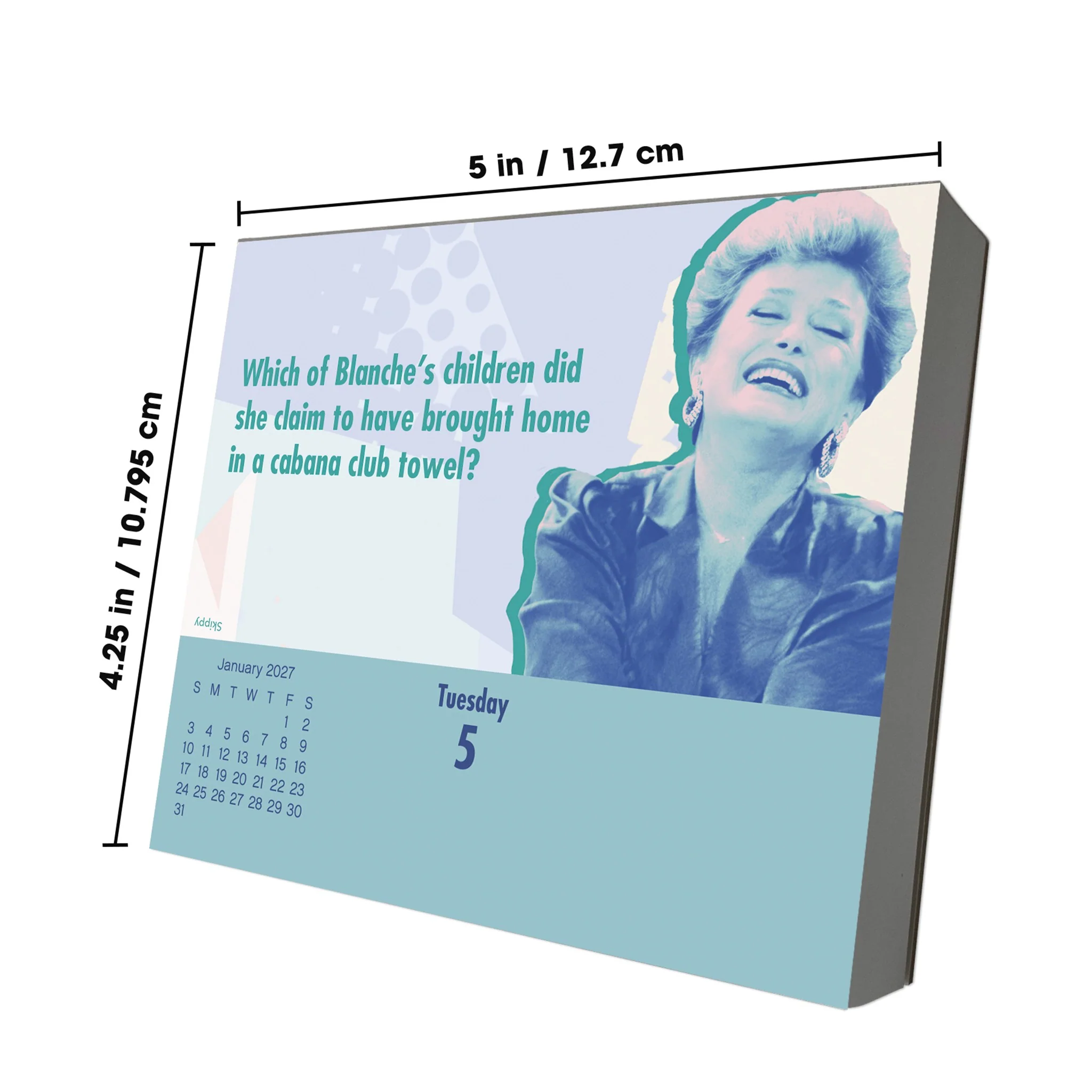 The Golden Girls 2027 Box Calendar - Image 10