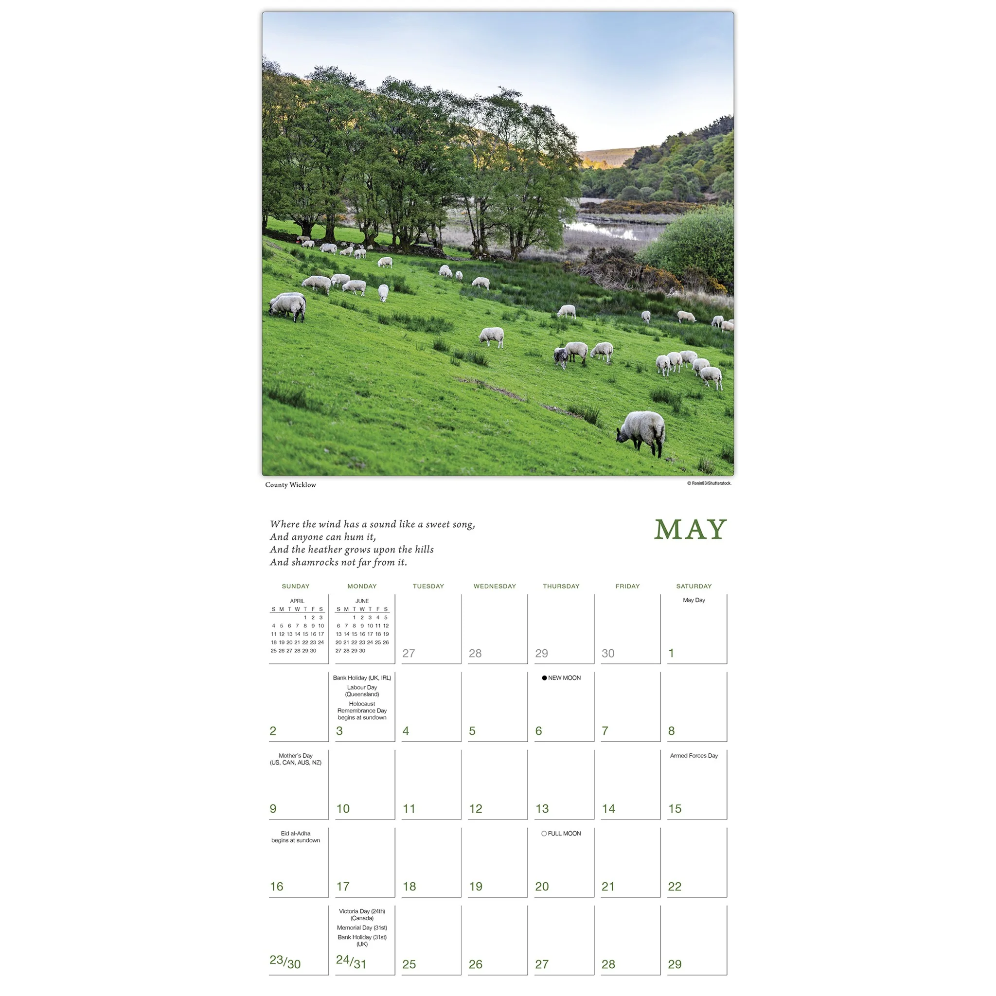 The Spirit of Ireland 2027 Wall Calendar - Image 4