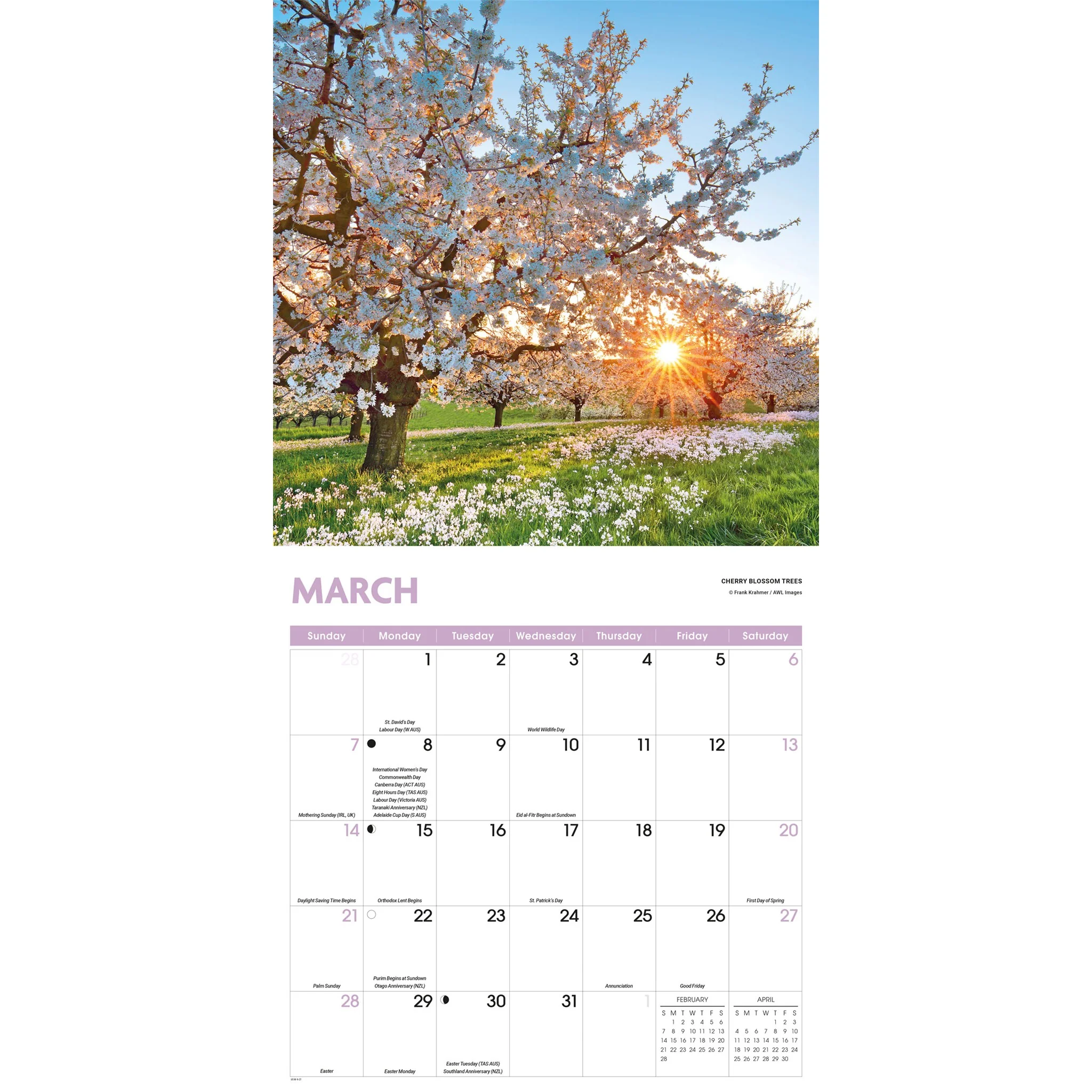 Trees 2027 Wall Calendar - Image 3