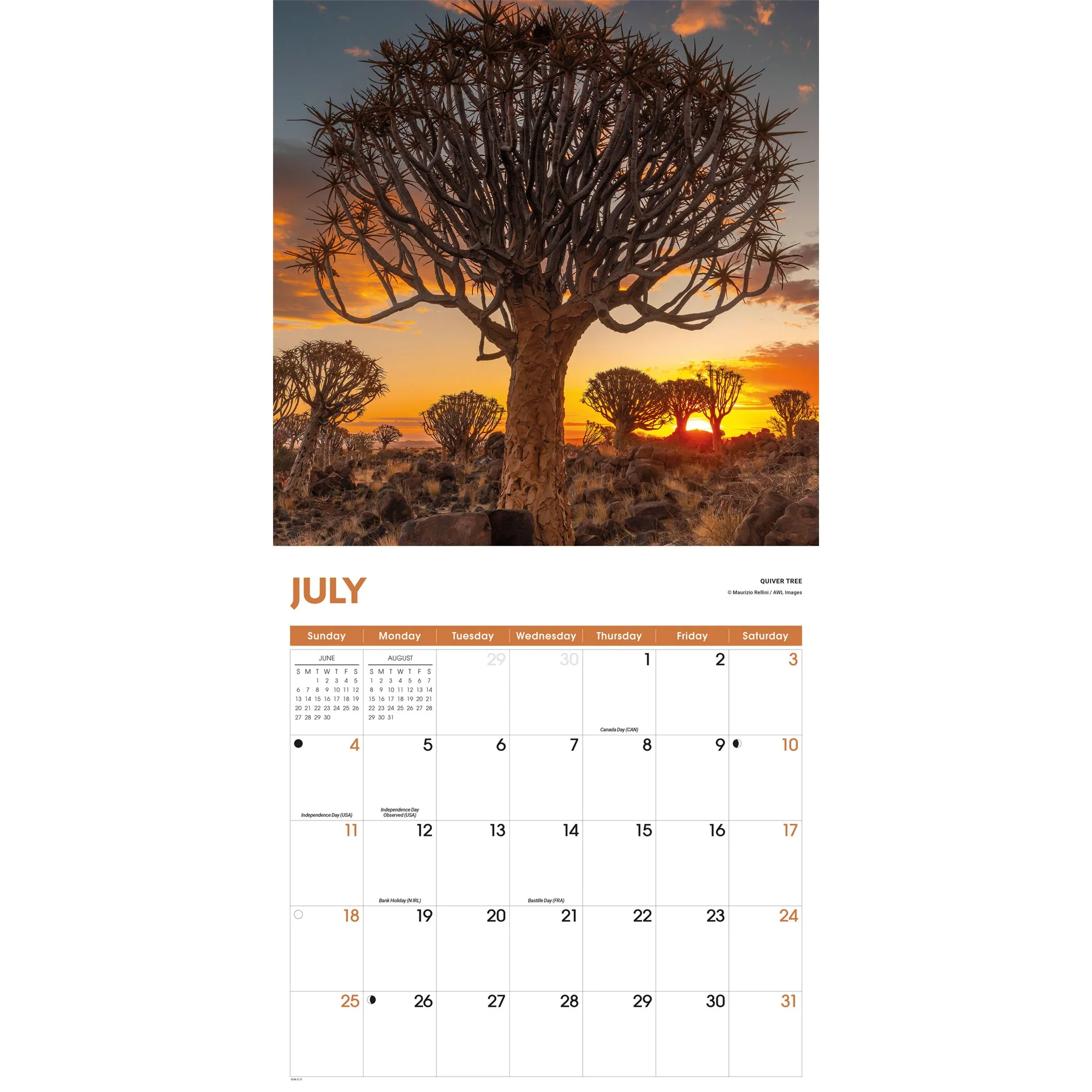 Trees 2027 Wall Calendar - Image 4