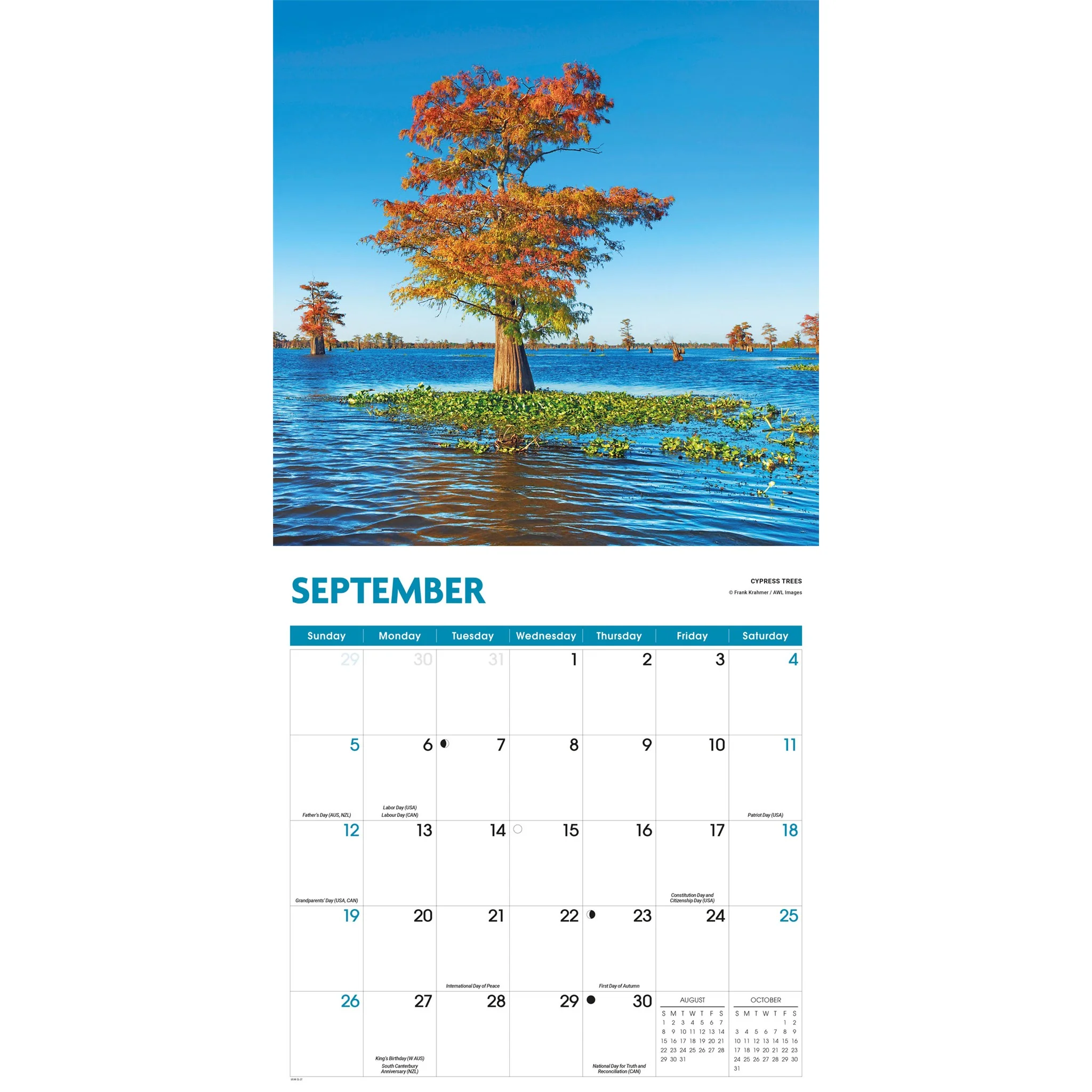 Trees 2027 Wall Calendar - Image 5