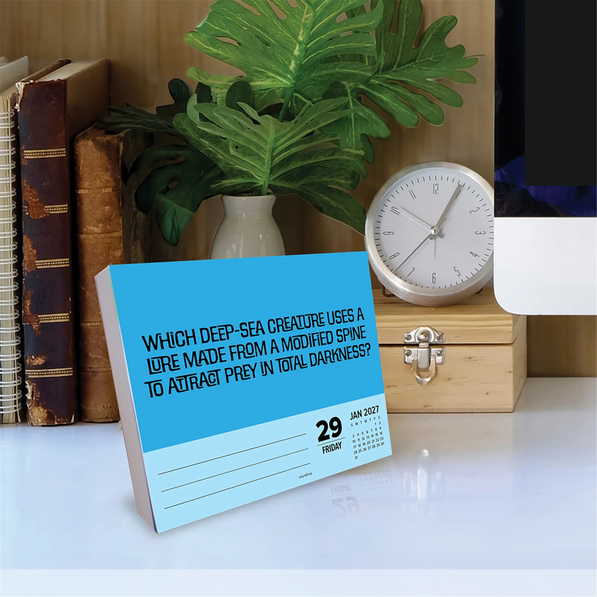 Trivia Night 2027 Box Calendar - Online Only - Image 3