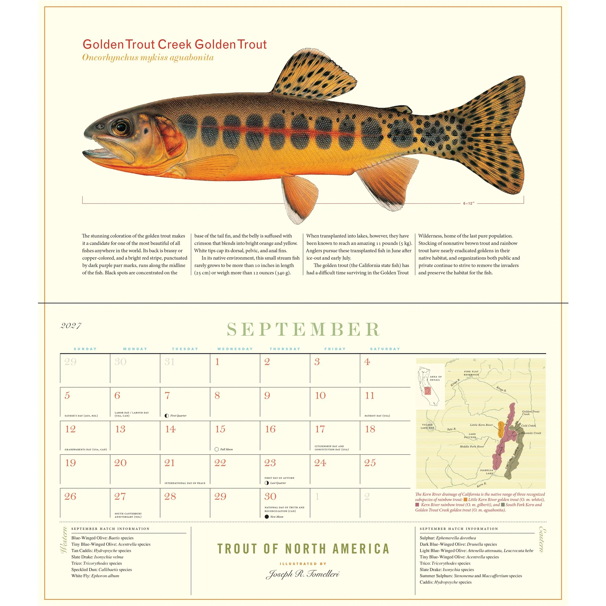 Trout of North America 2027 Wall Calendar - Image 6