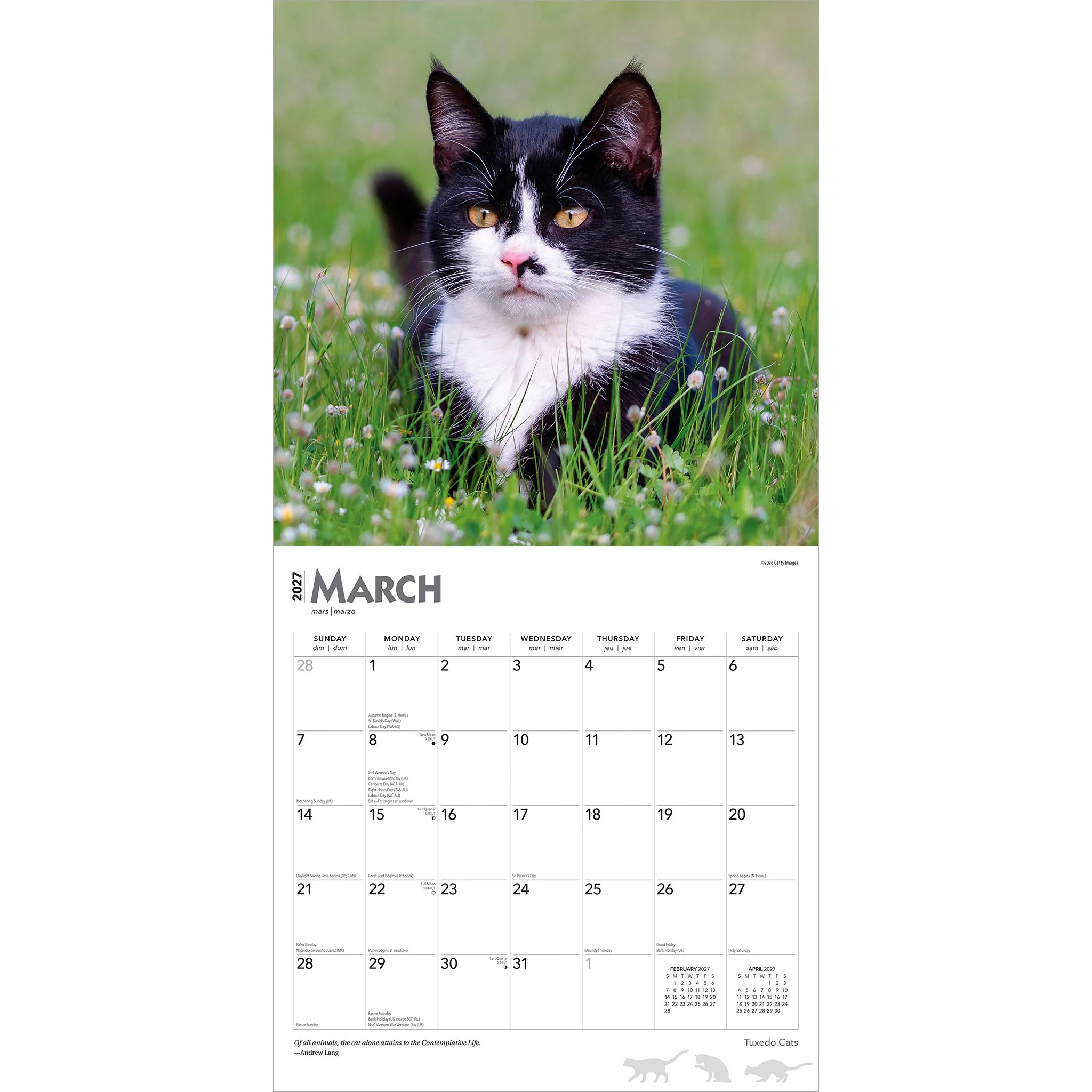 Tuxedo Cats 2027 Wall Calendar - Image 3