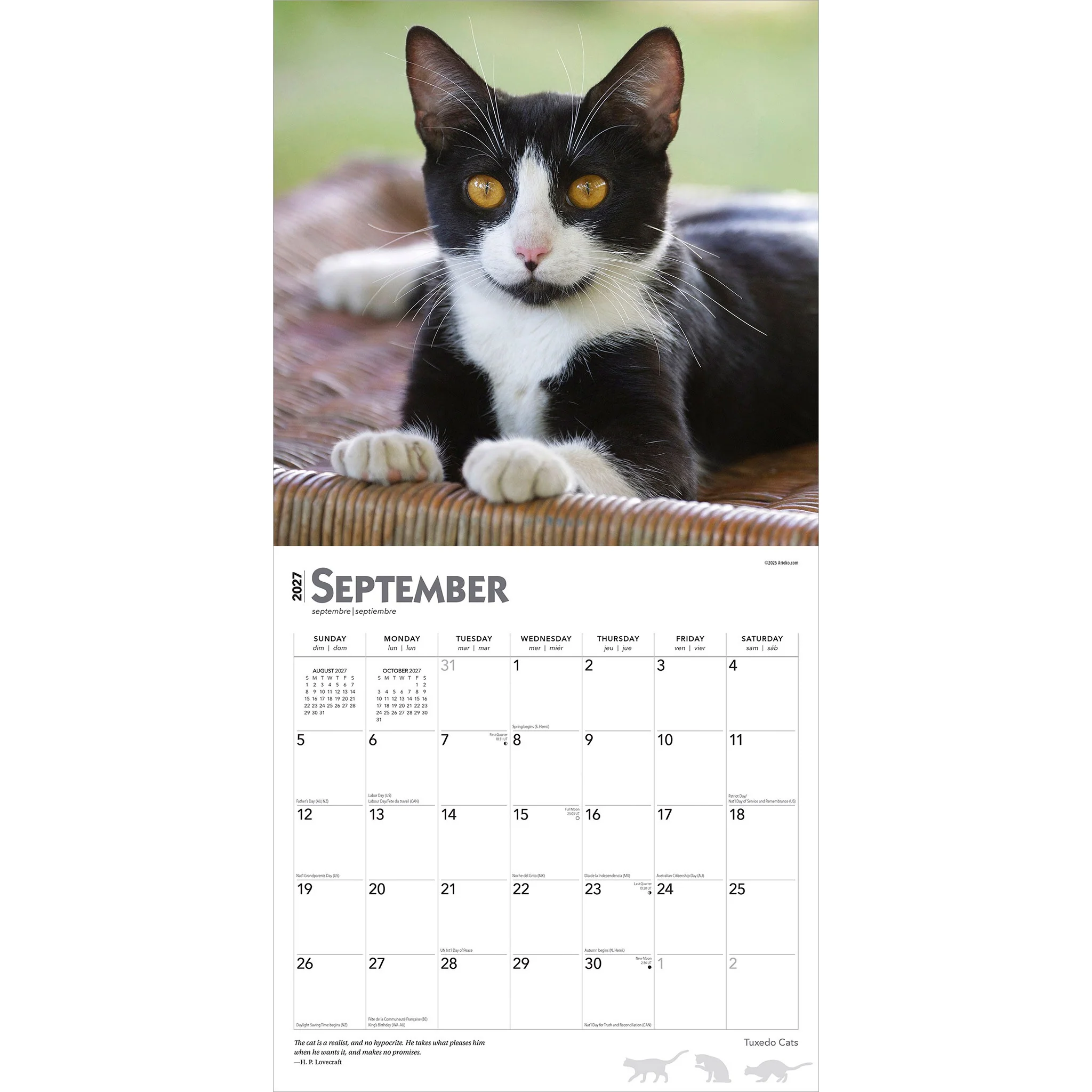 Tuxedo Cats 2027 Wall Calendar - Image 4