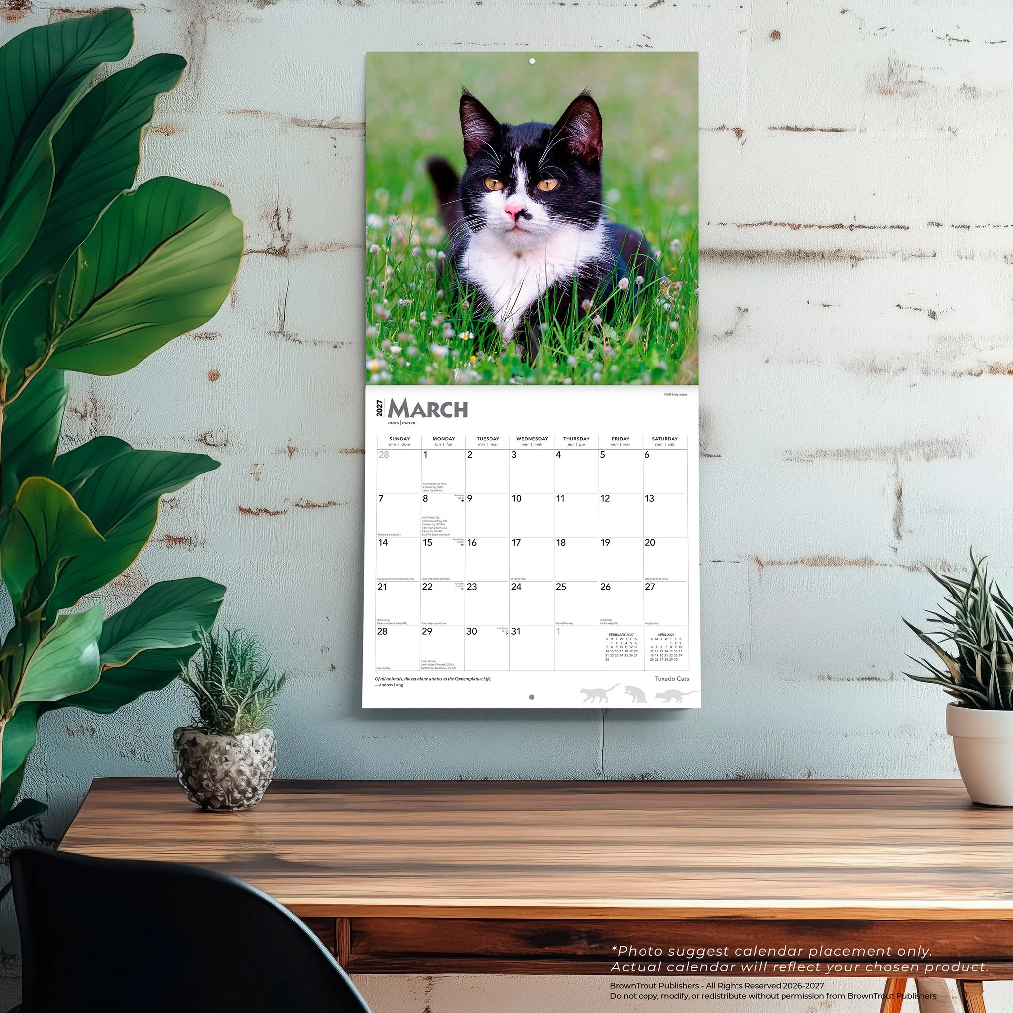 Tuxedo Cats 2027 Wall Calendar - Image 5