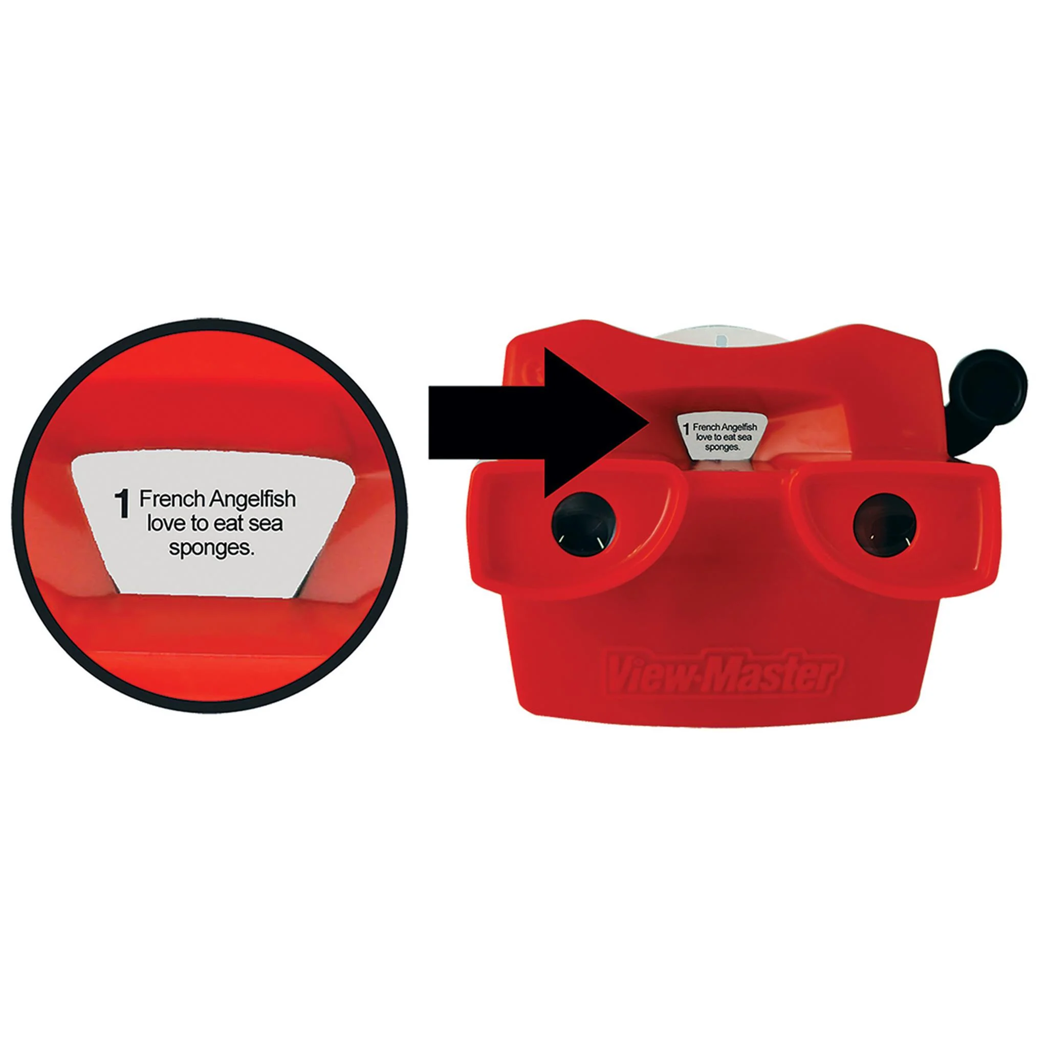 Viewmaster Boxed Set - Image 4