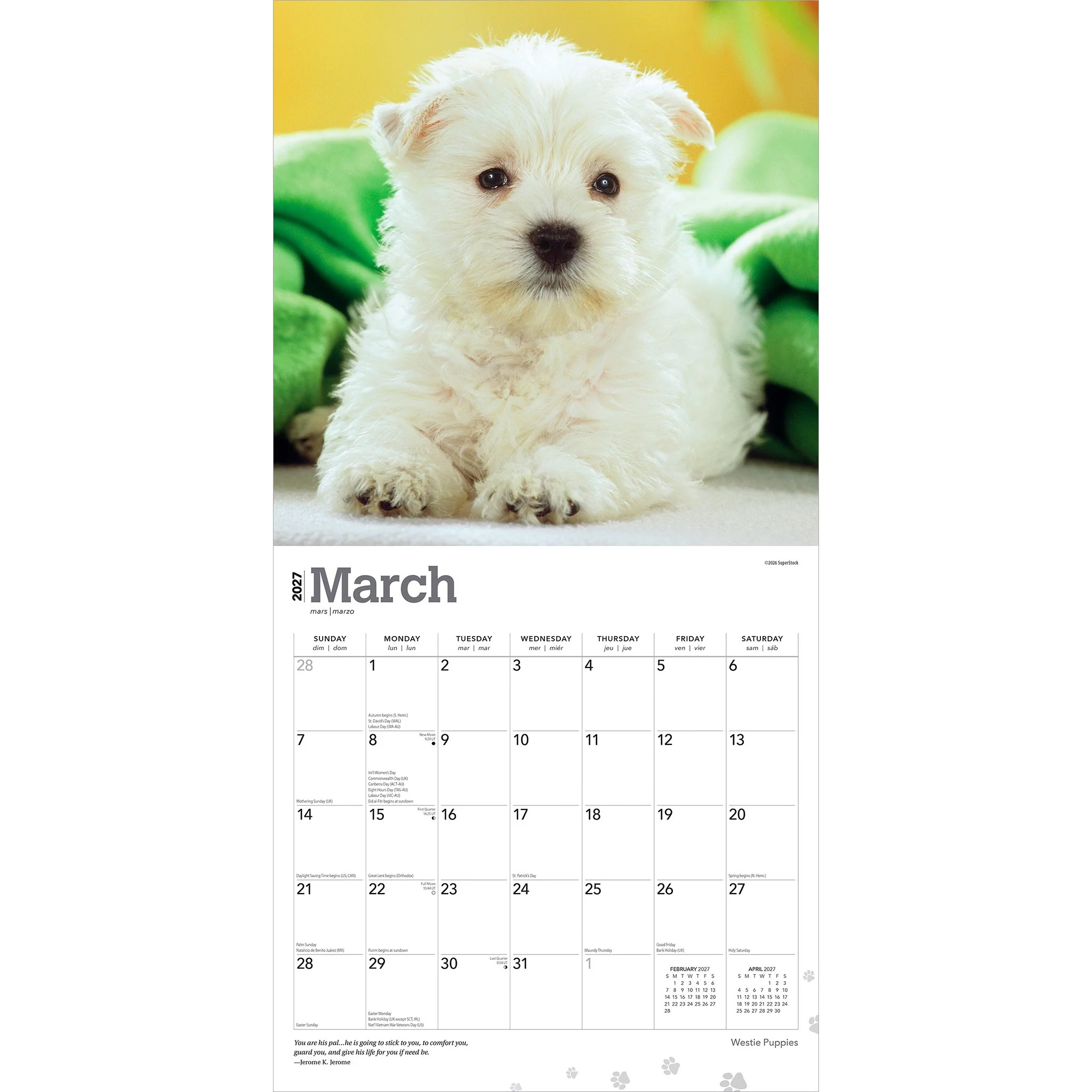 West Highland White Terrier Puppies 2027 Mini Calendar - Image 3