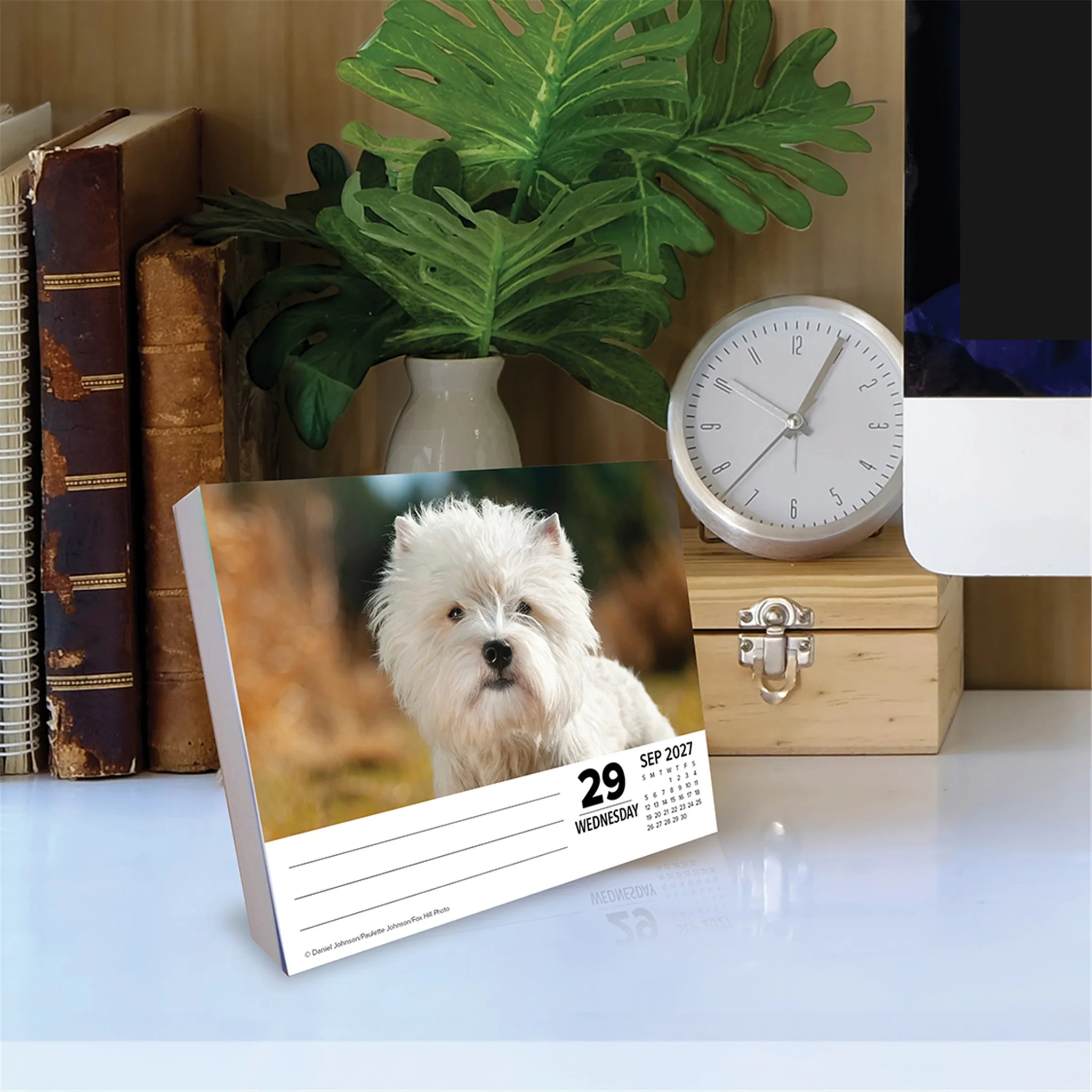 Westies 2027 Box Calendar - Online Only - Image 3