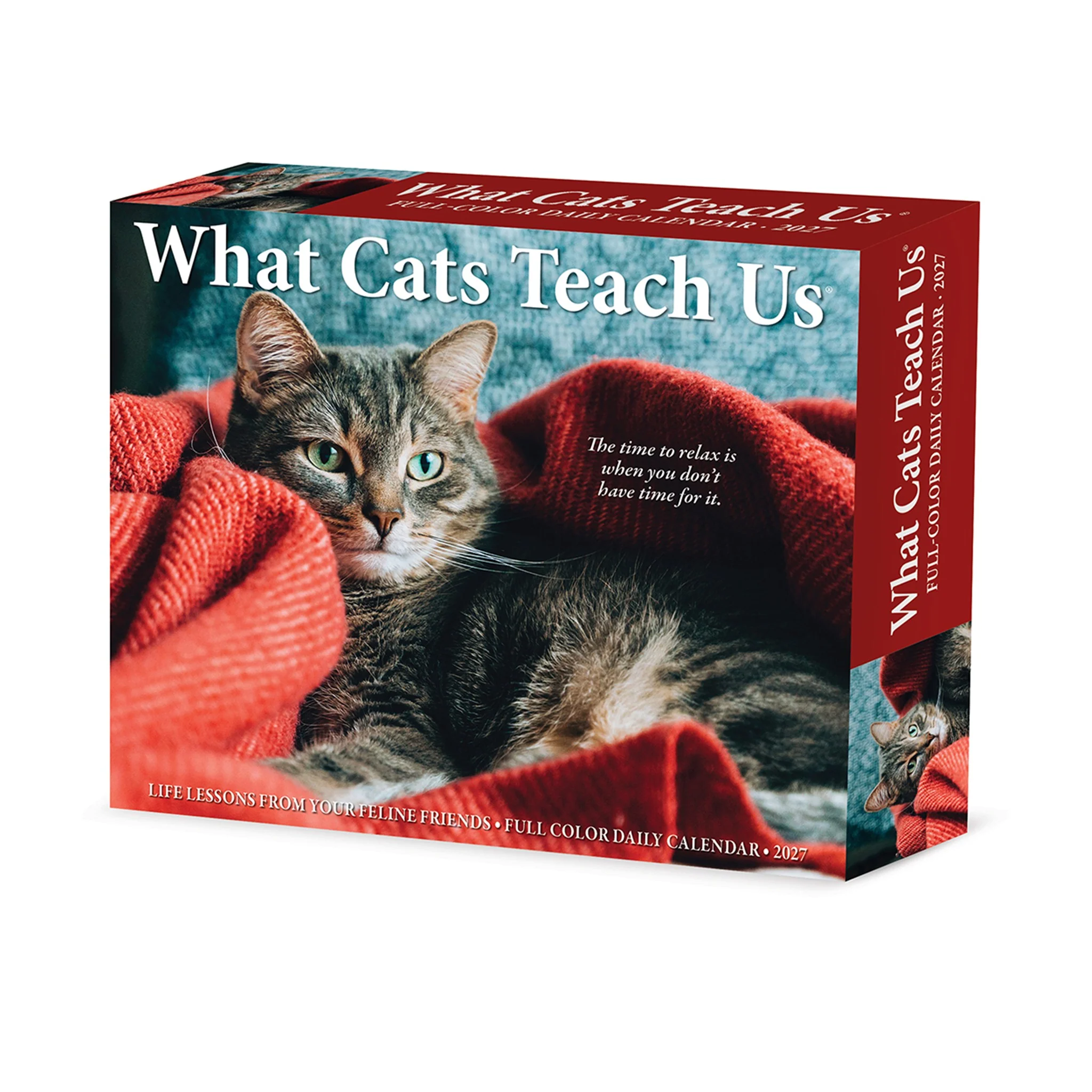 What Cats Teach Us 2027 Box Calendar - Image 5