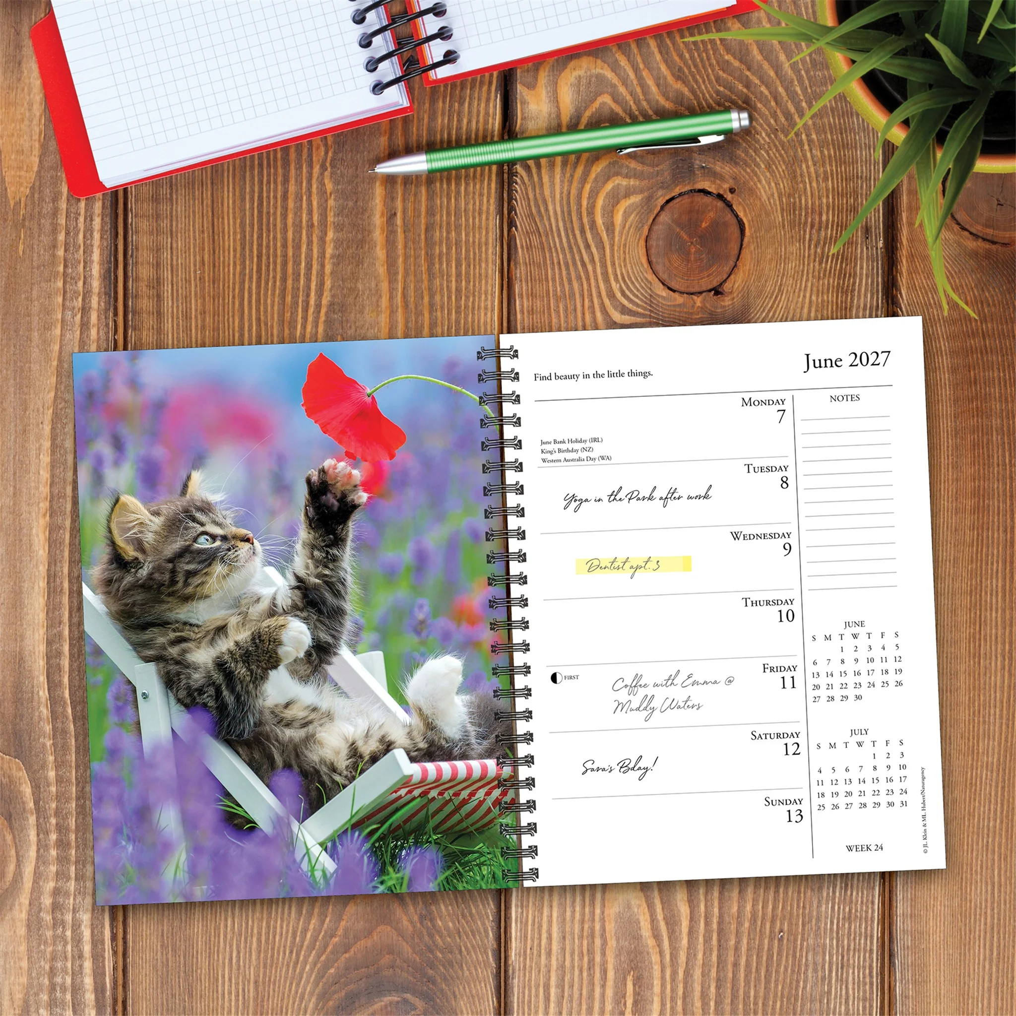 What Cats Teach Us 2027 Engagement Calendar - Image 2