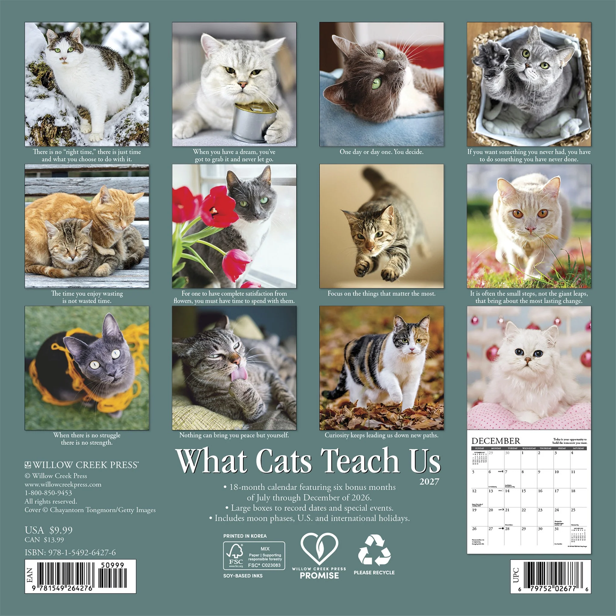What Cats Teach Us 2027 Mini Calendar - Image 2