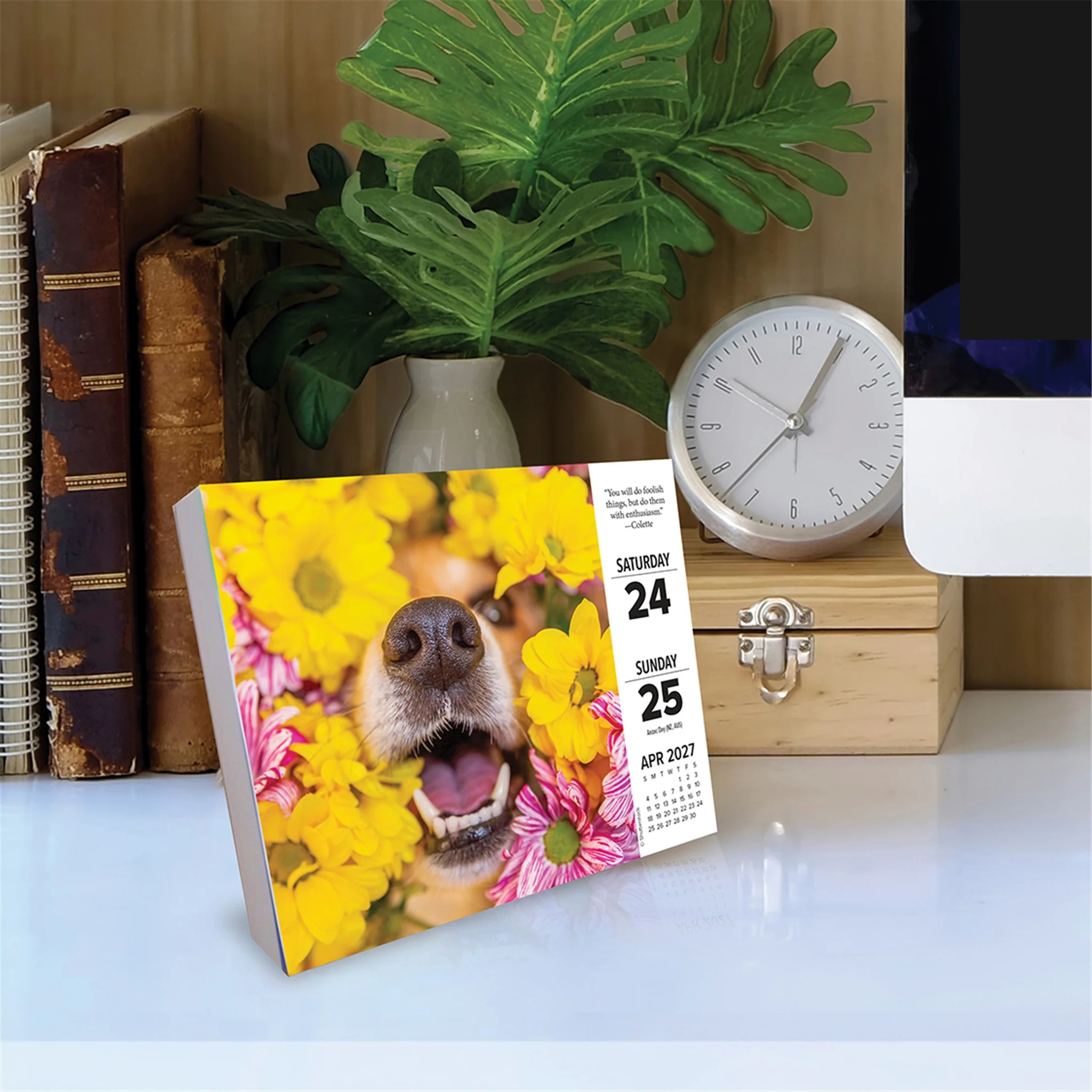 What Dogs Teach Us 2027 Box Calendar - Image 3