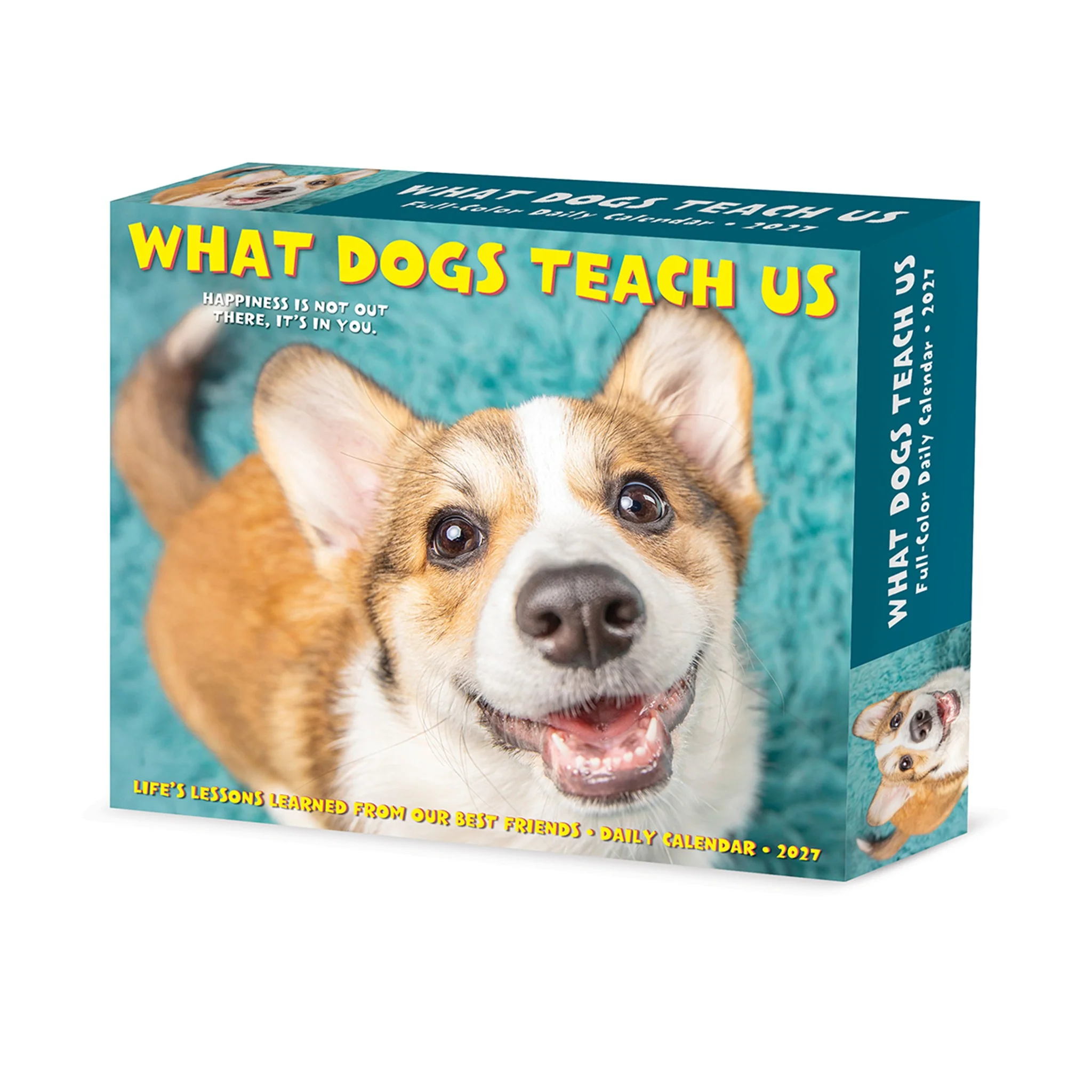 What Dogs Teach Us 2027 Box Calendar - Image 5