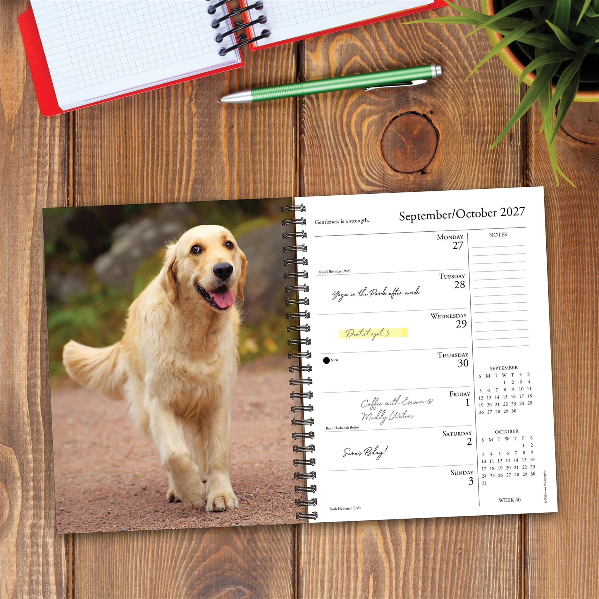 What Goldens Teach Us 2027 Engagement Calendar - Image 2