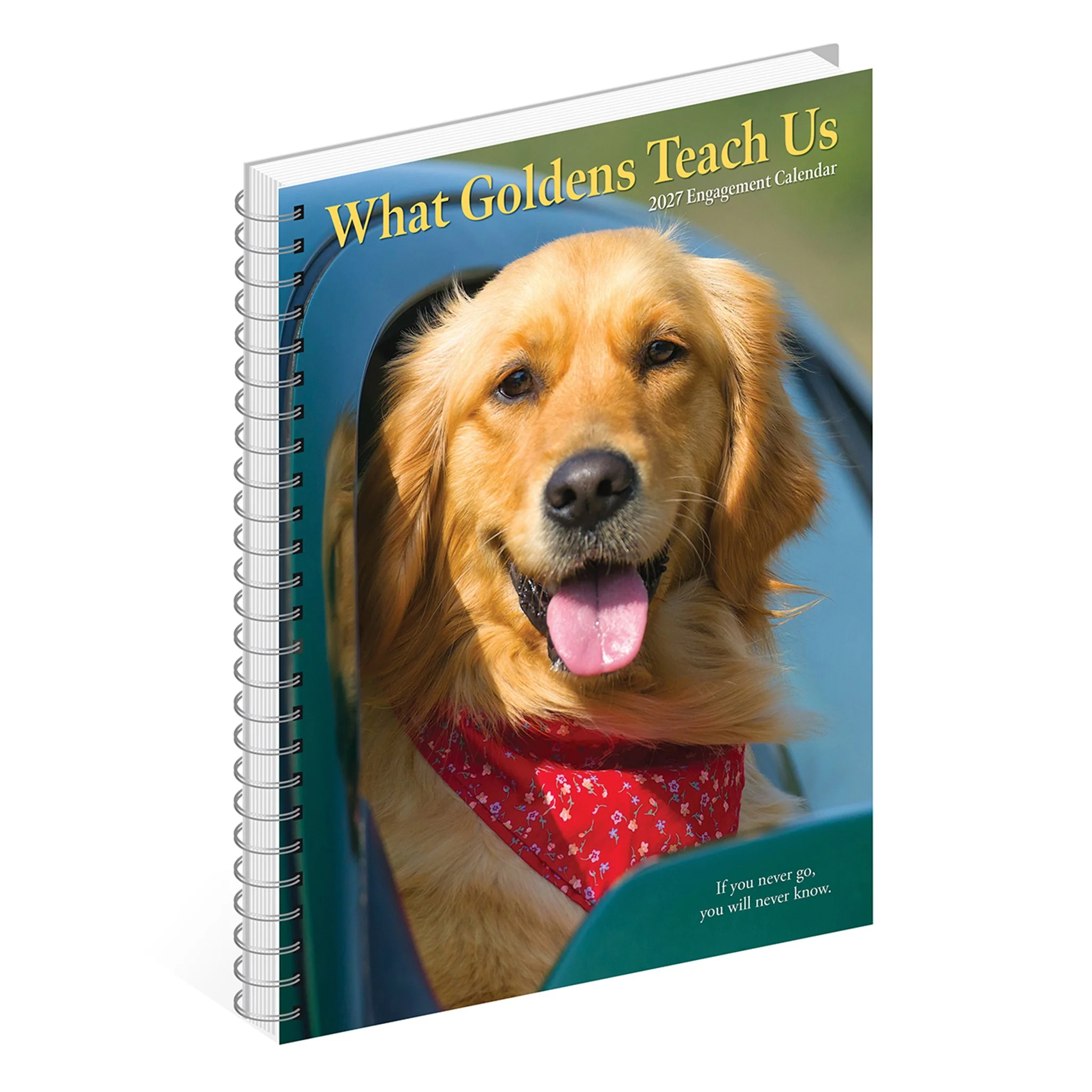 What Goldens Teach Us 2027 Engagement Calendar - Image 3