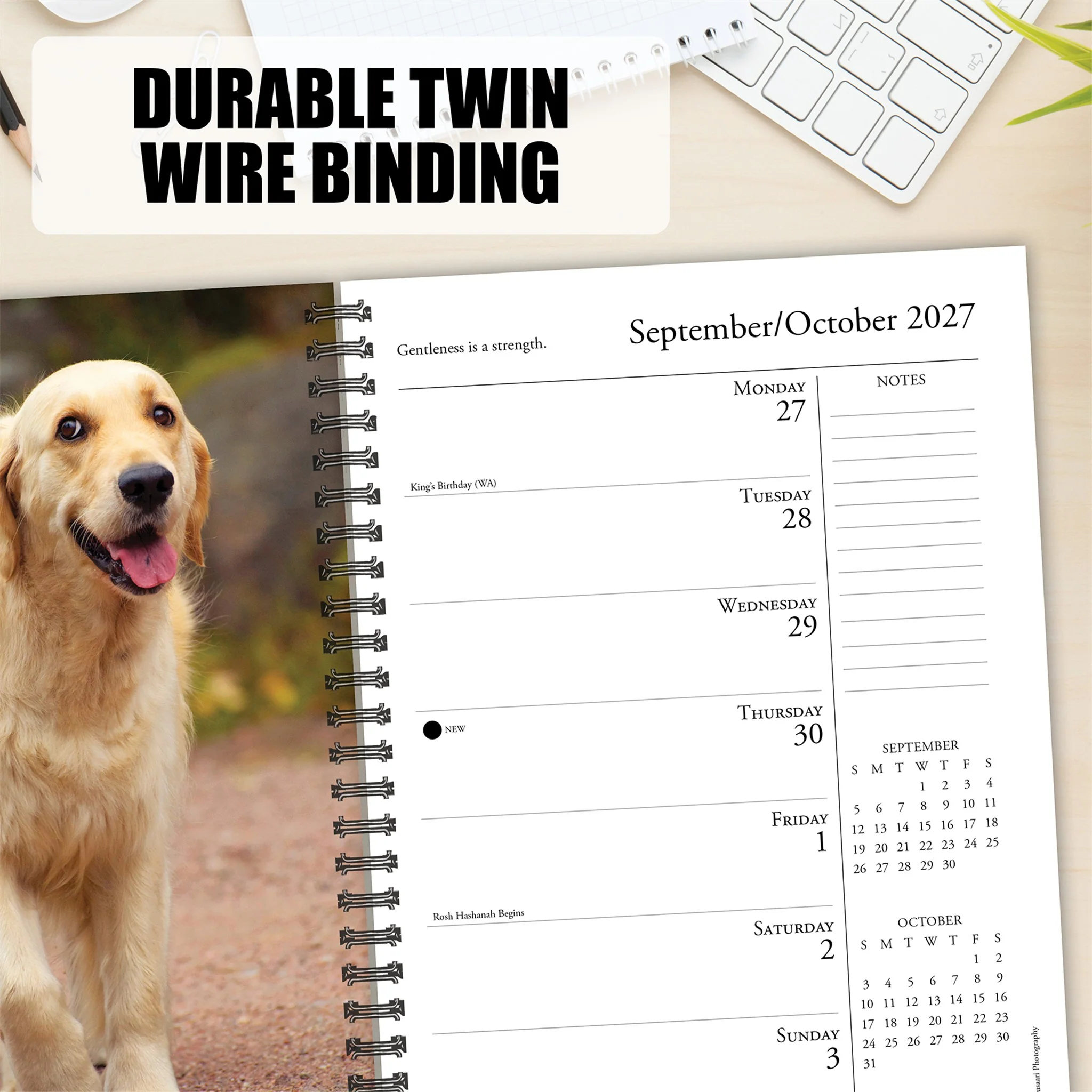 What Goldens Teach Us 2027 Engagement Calendar - Image 4