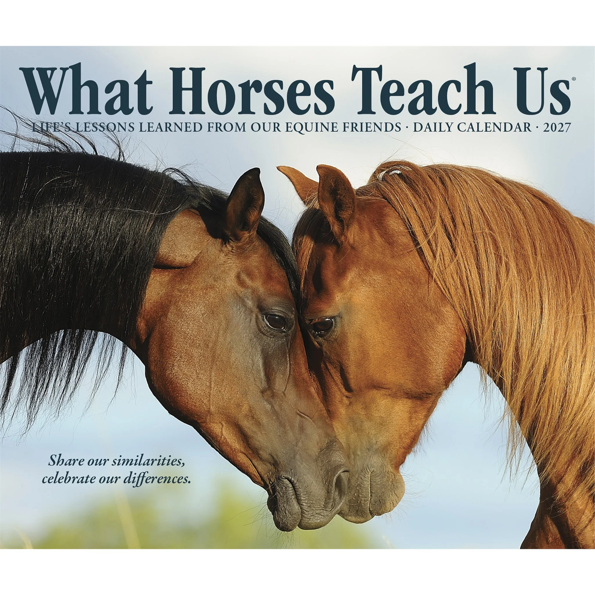What Horses Teach Us 2027 Box Calendar