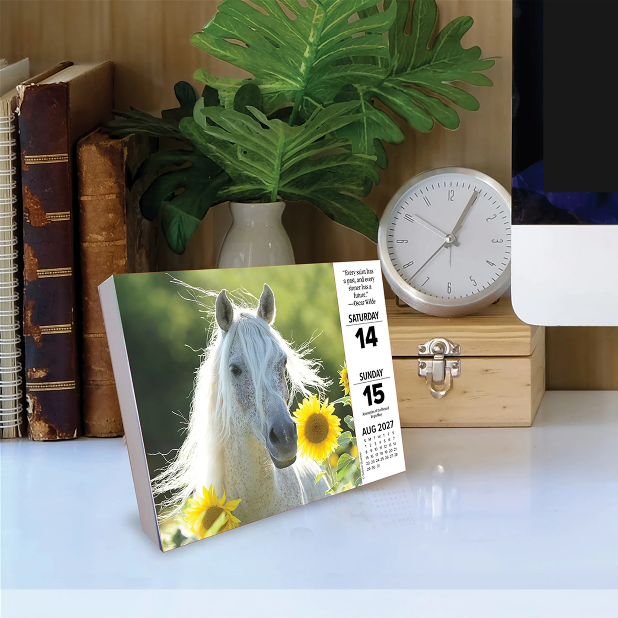 What Horses Teach Us 2027 Box Calendar - Image 3