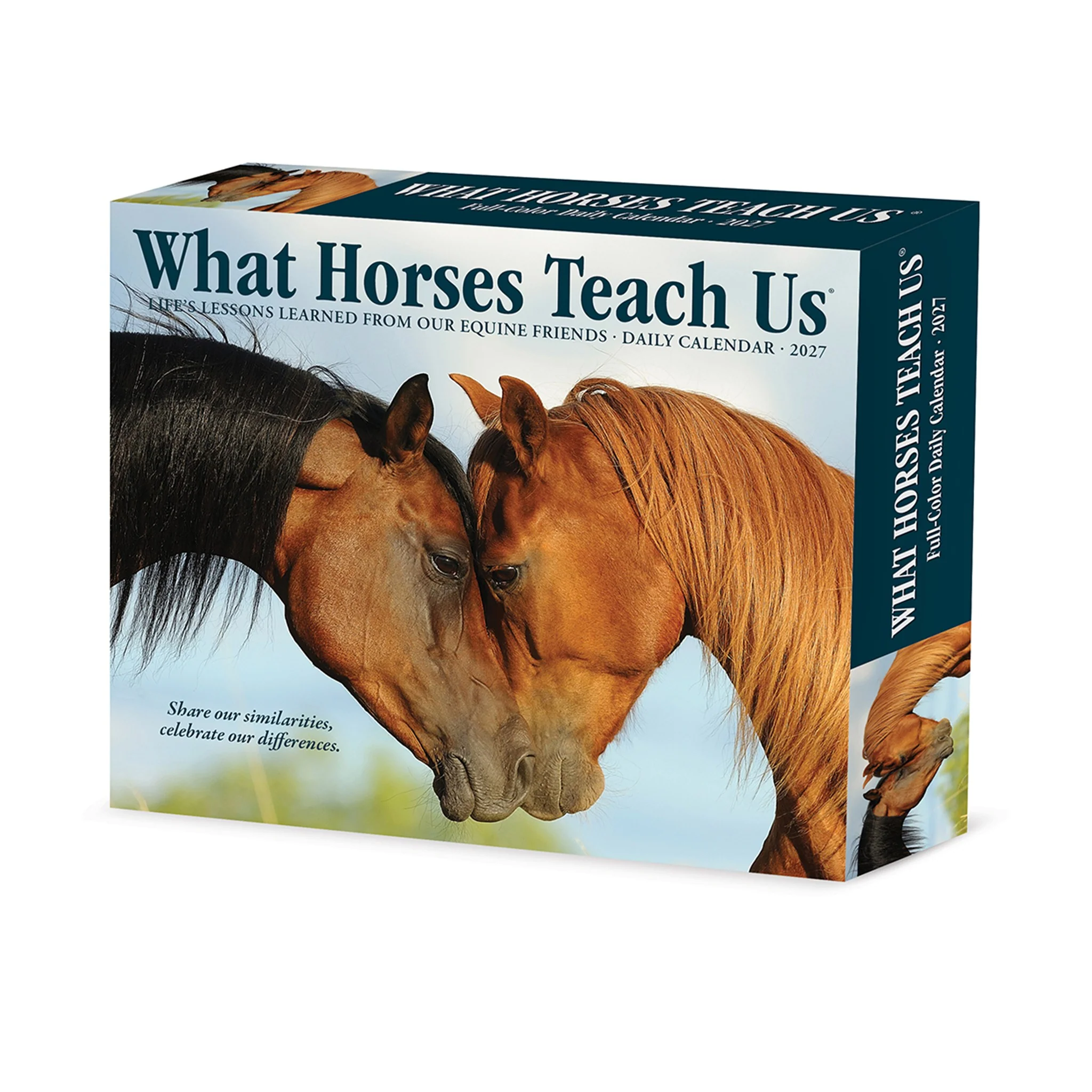 What Horses Teach Us 2027 Box Calendar - Image 5