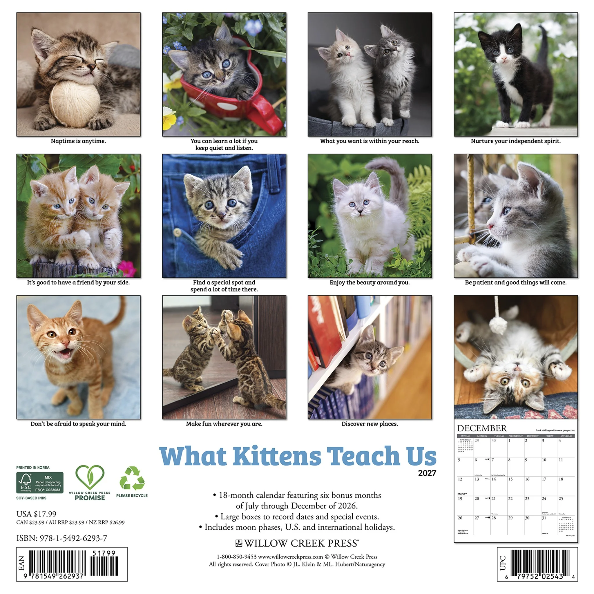 What Kittens Teach Us 2027 Wall Calendar - Image 2
