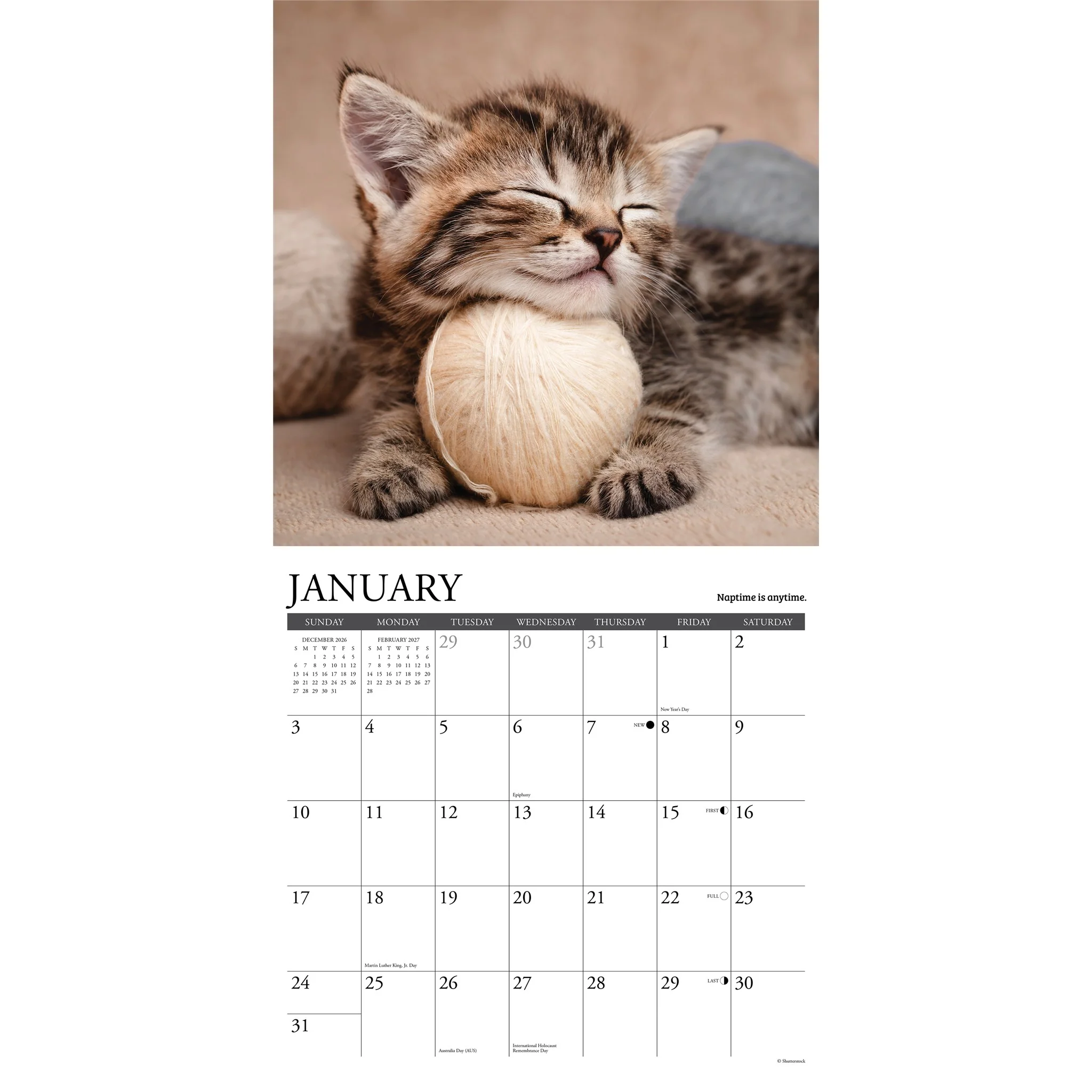 What Kittens Teach Us 2027 Wall Calendar - Image 3
