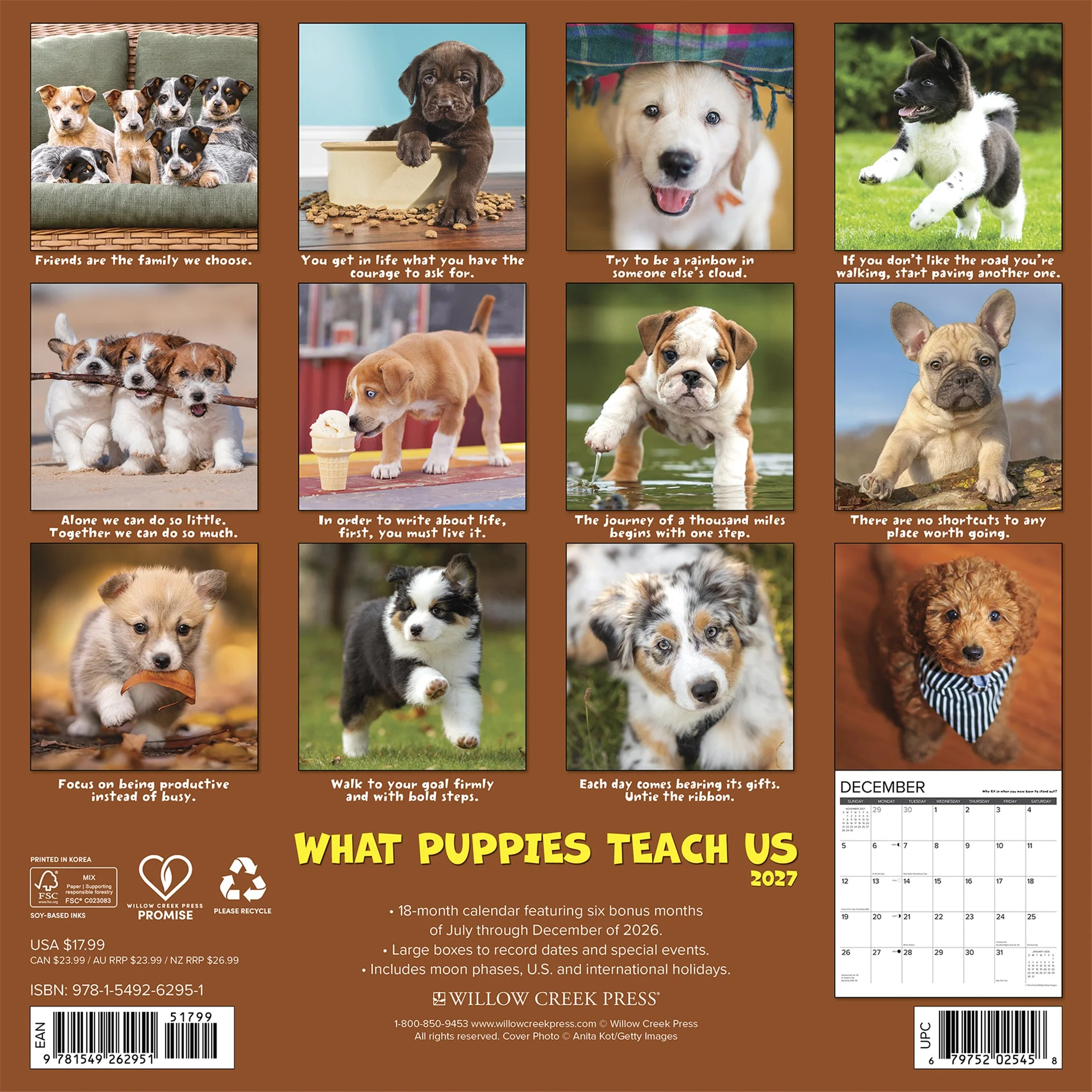 What Puppies Teach Us 2027 Wall Calendar - Image 2