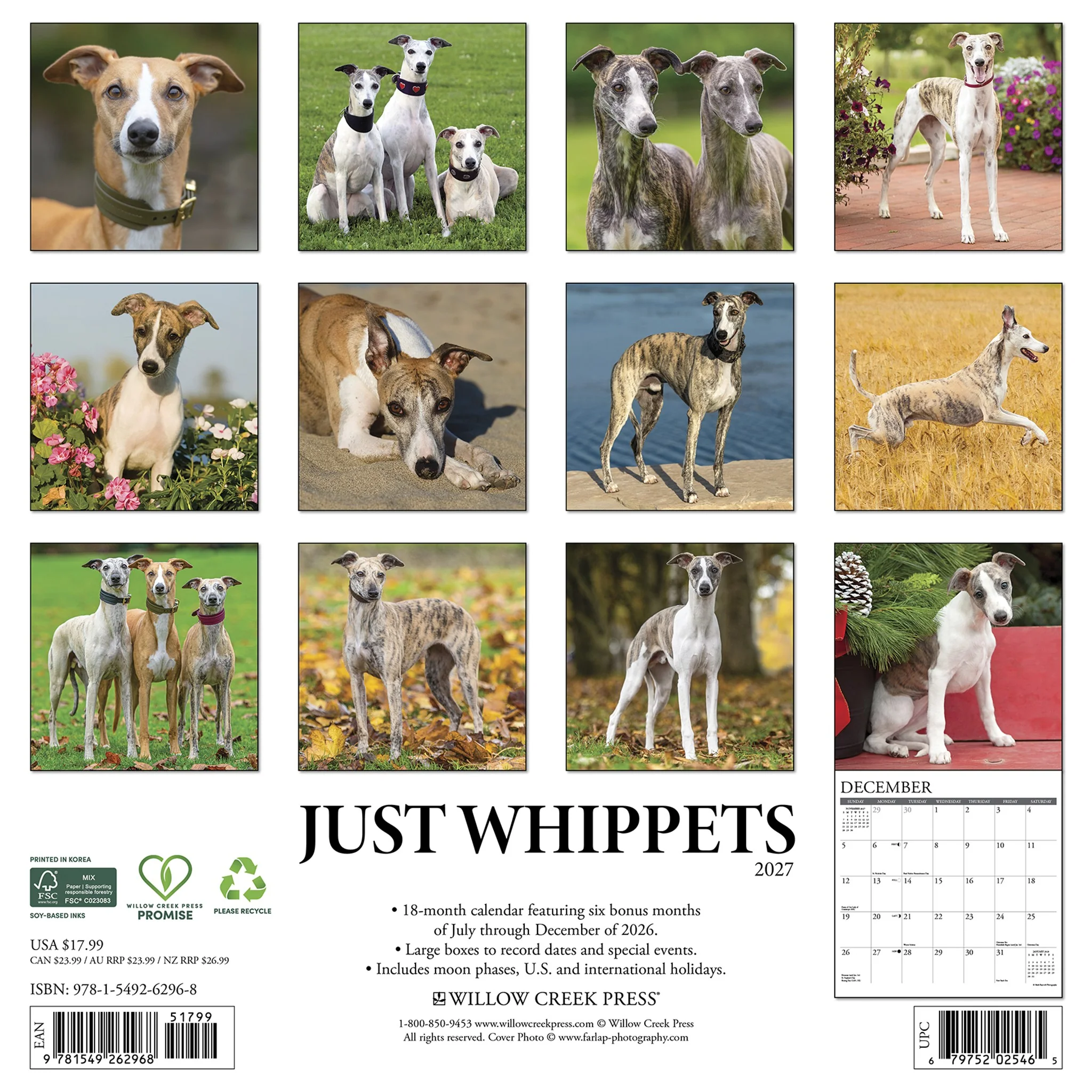 Whippets 2027 Wall Calendar - Image 2