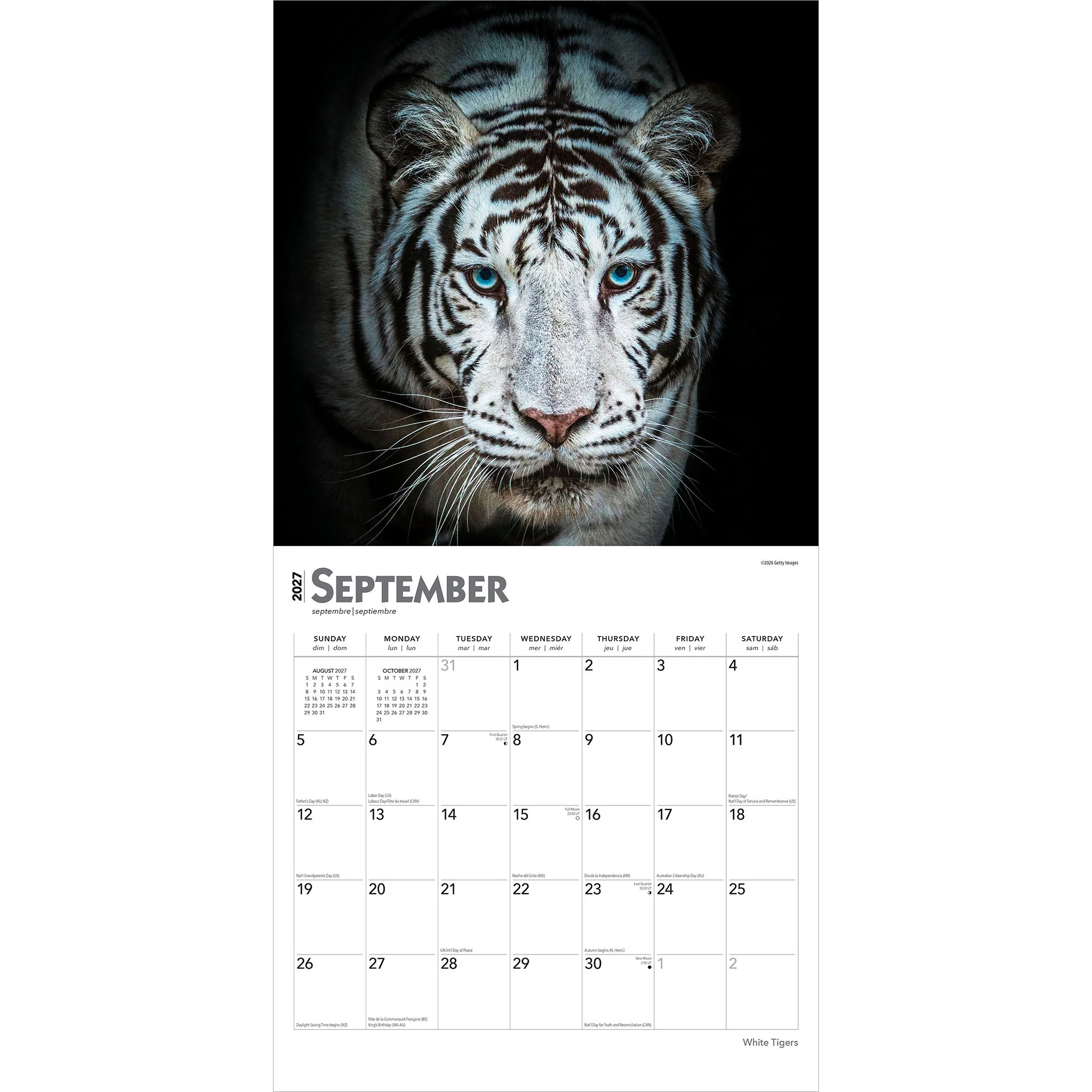 White Tigers 2027 Wall Calendar - Image 4