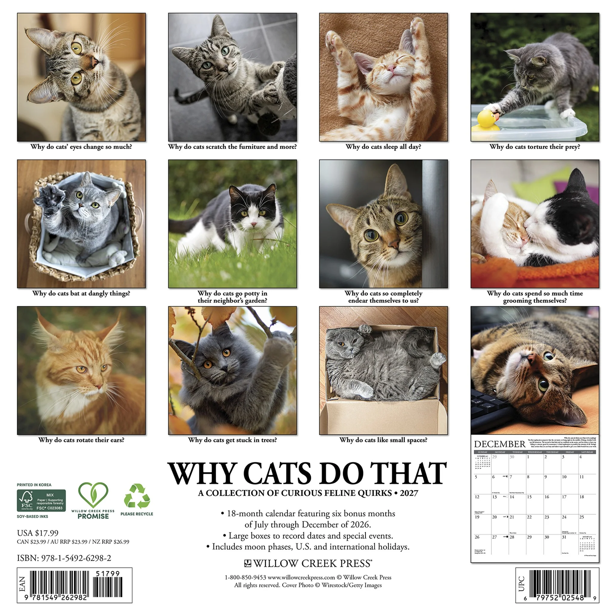 Why Cats Do That 2027 Wall Calendar - Image 2