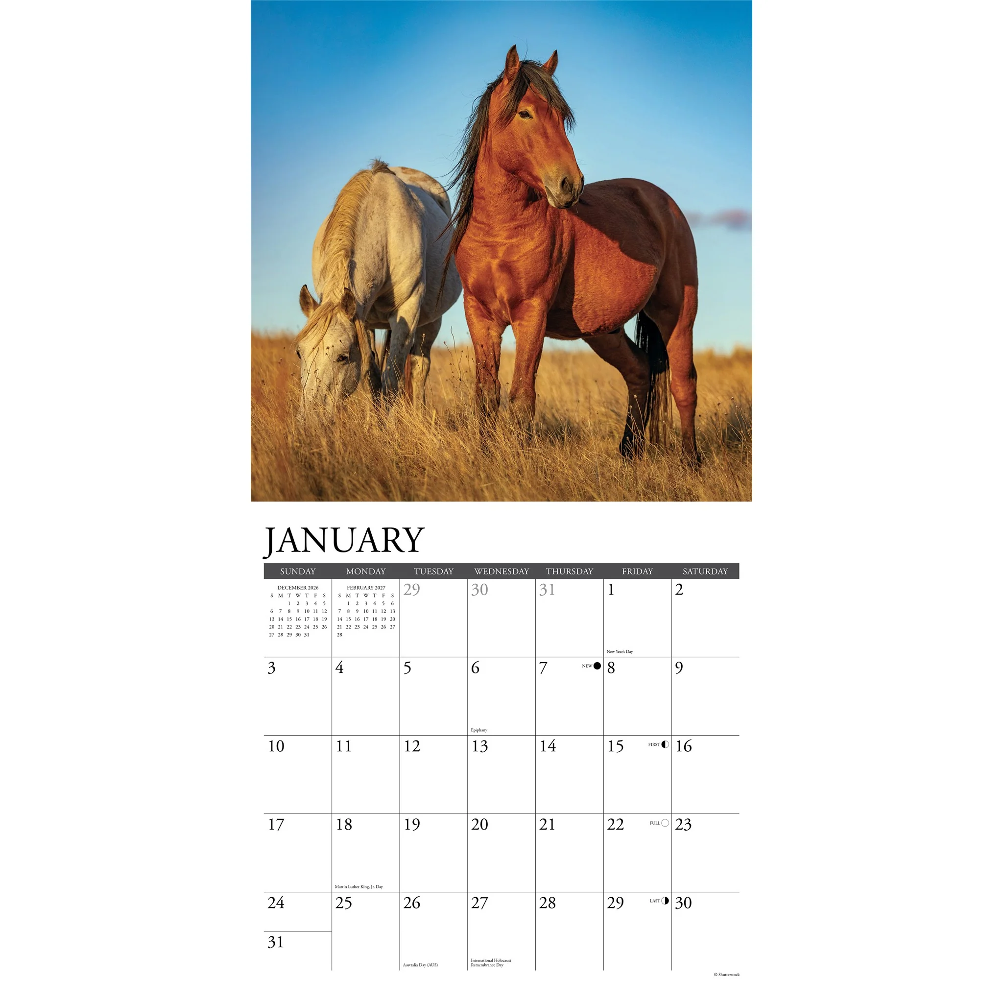 Wild Horses 2027 Wall Calendar - Image 3
