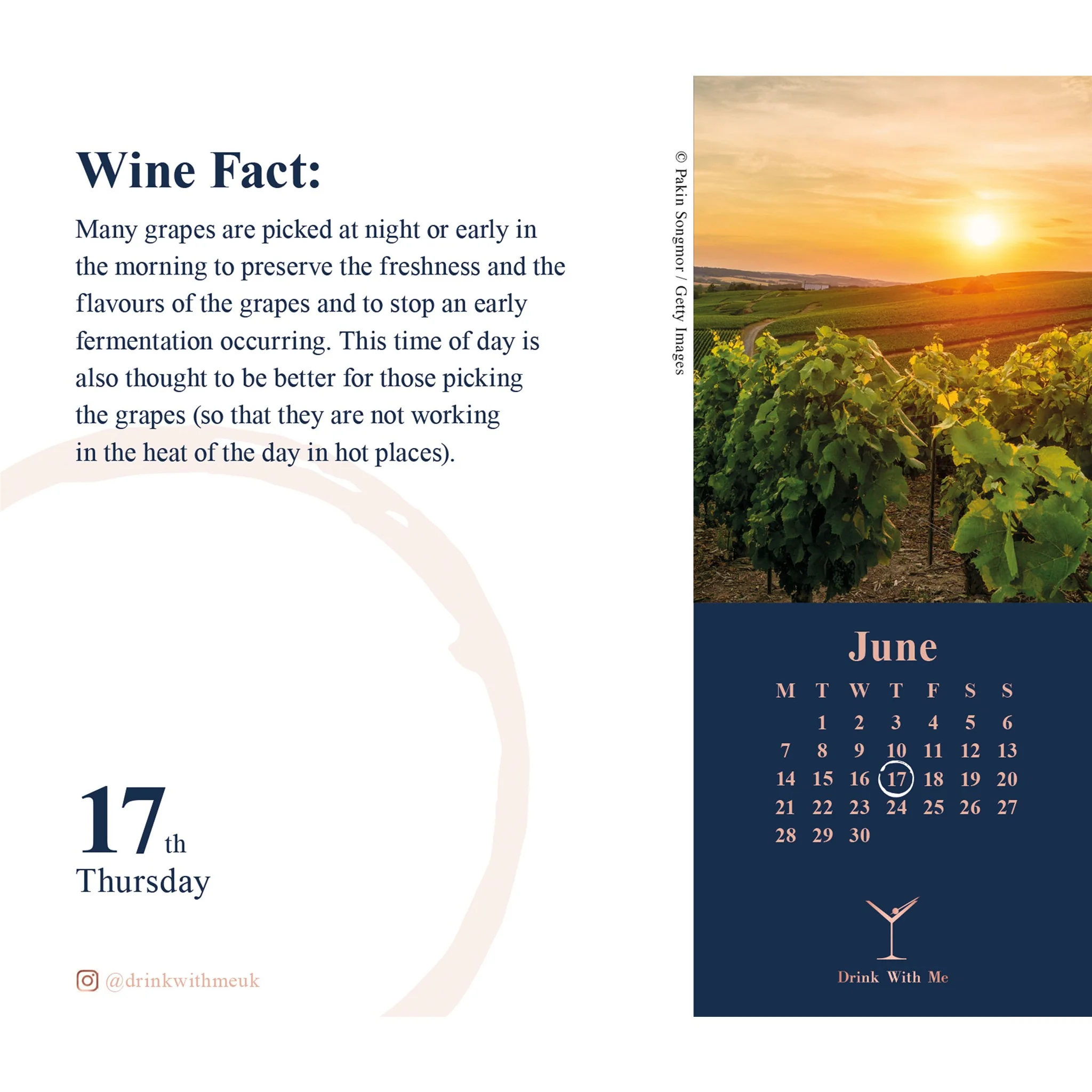 Wine Wisdom 2027 Box Calendar - Image 4