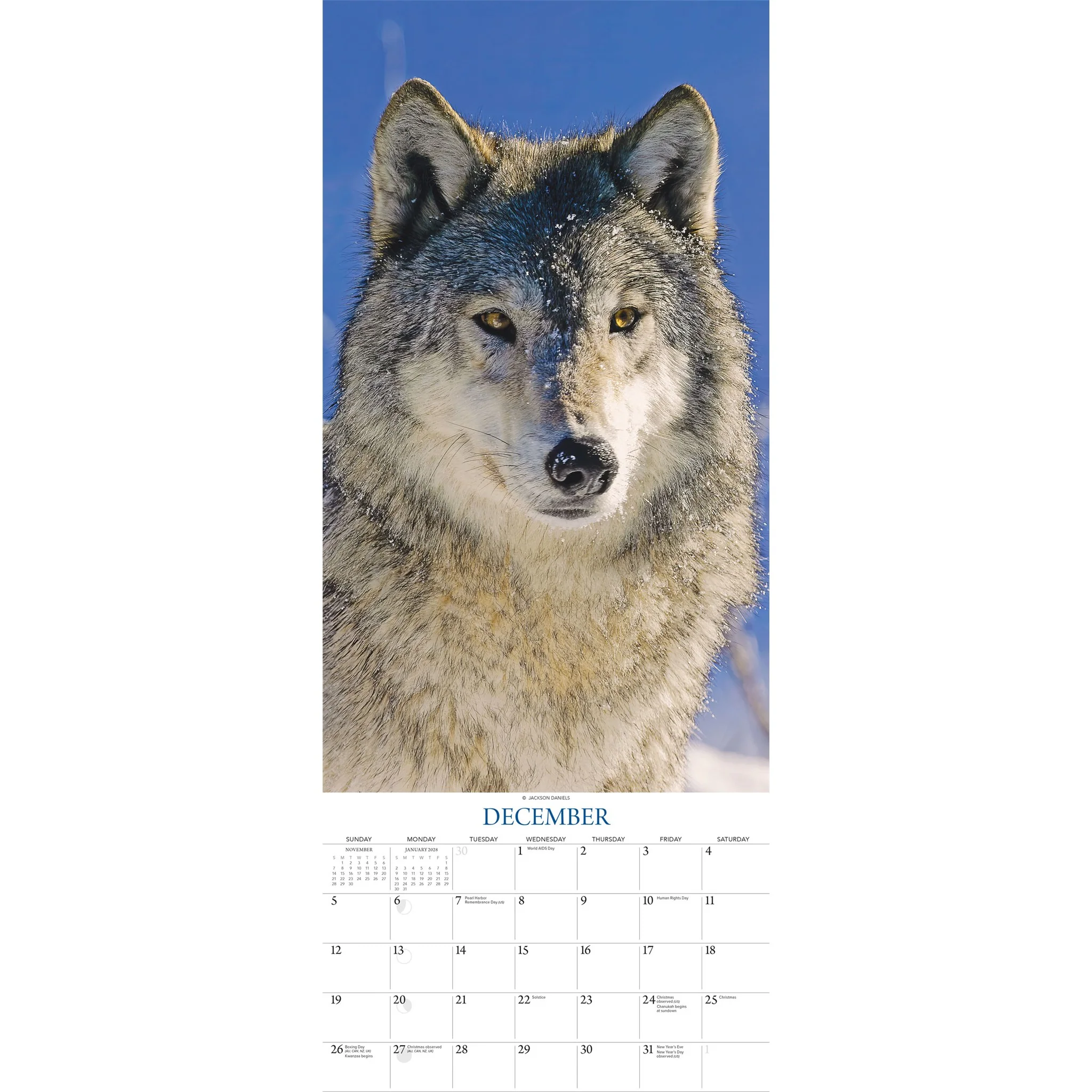 Wolves 2027 Poster Calendar - Image 5