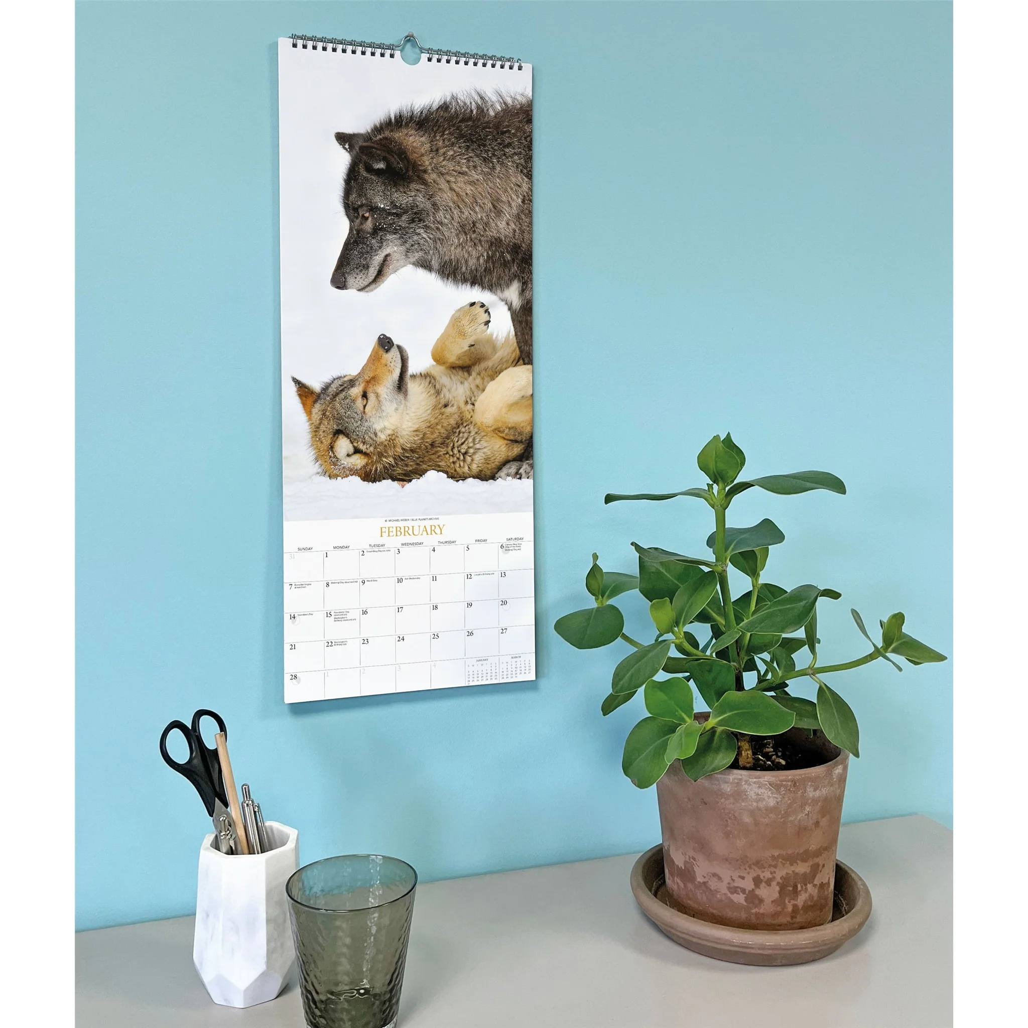 Wolves 2027 Poster Calendar - Image 6